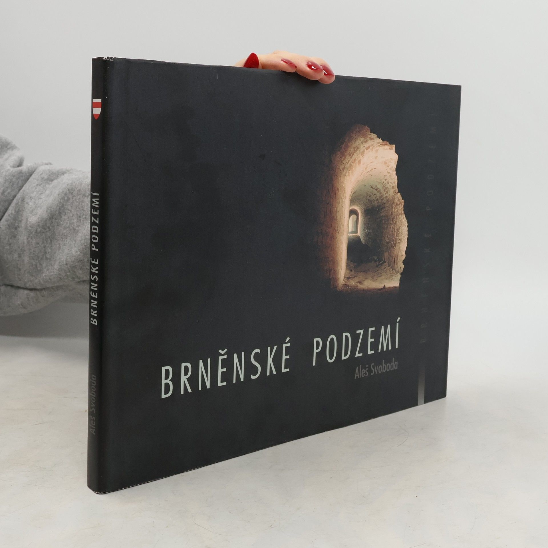 Aleš Svoboda Brněnské podzemí