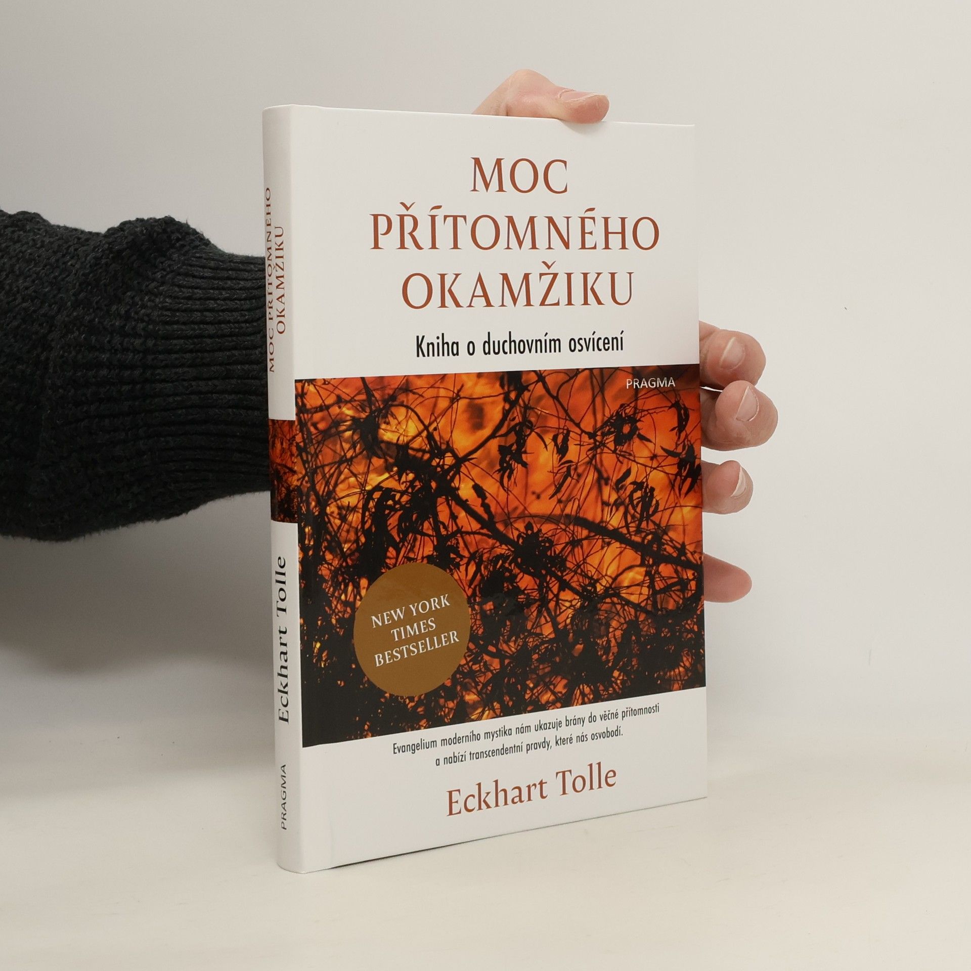 Eckhart Tolle Moc přítomného okamžiku