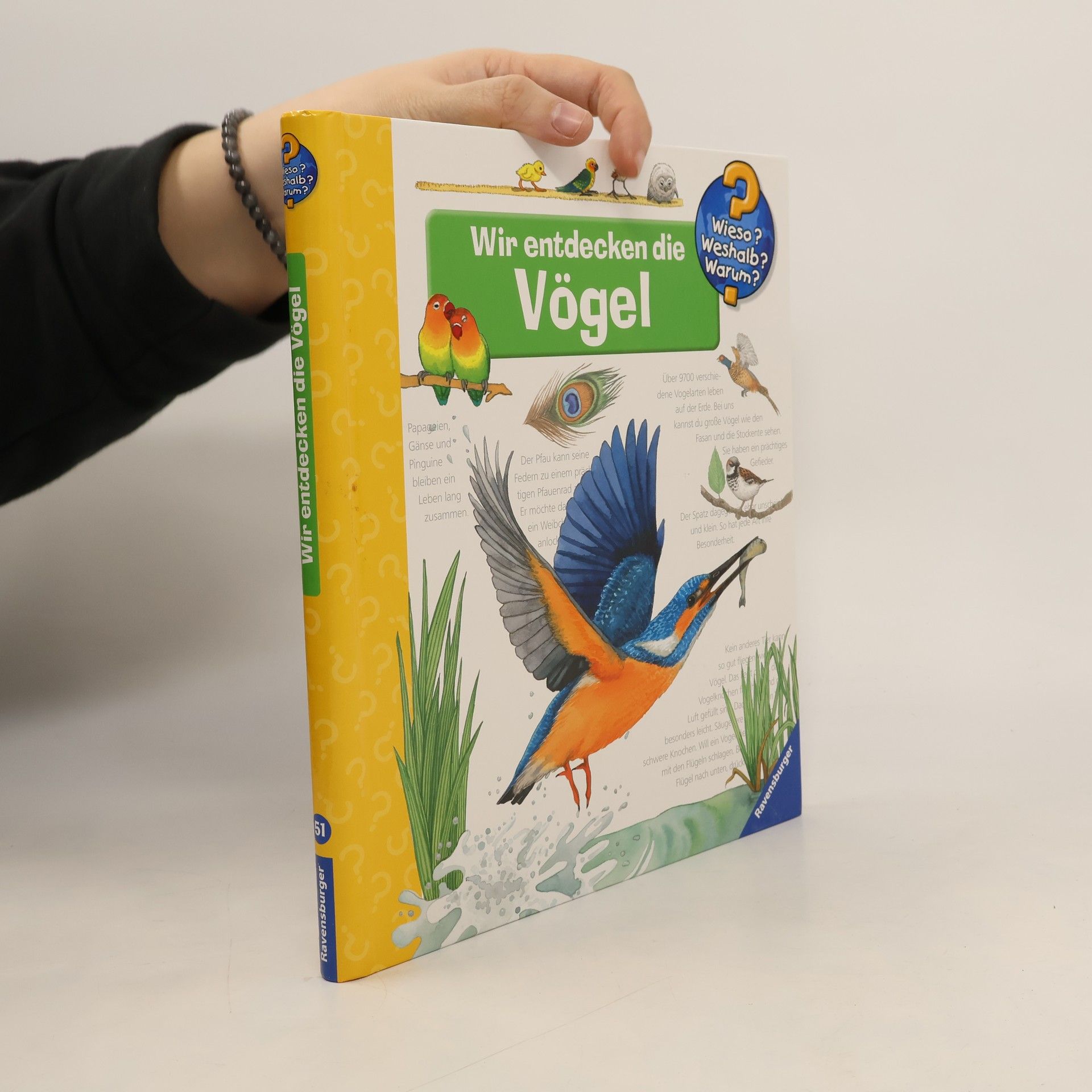 Anne Ebert Wir entdecken die Vögel