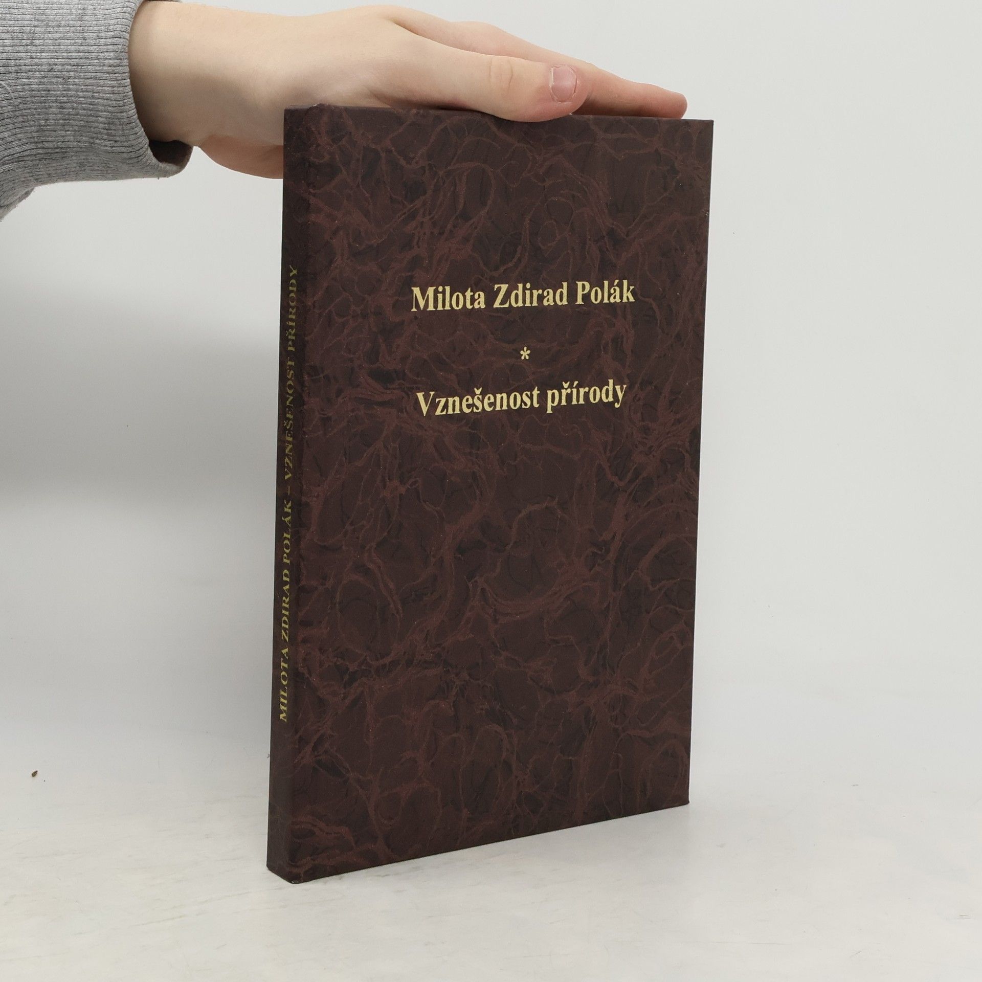 Vznešenost přírody