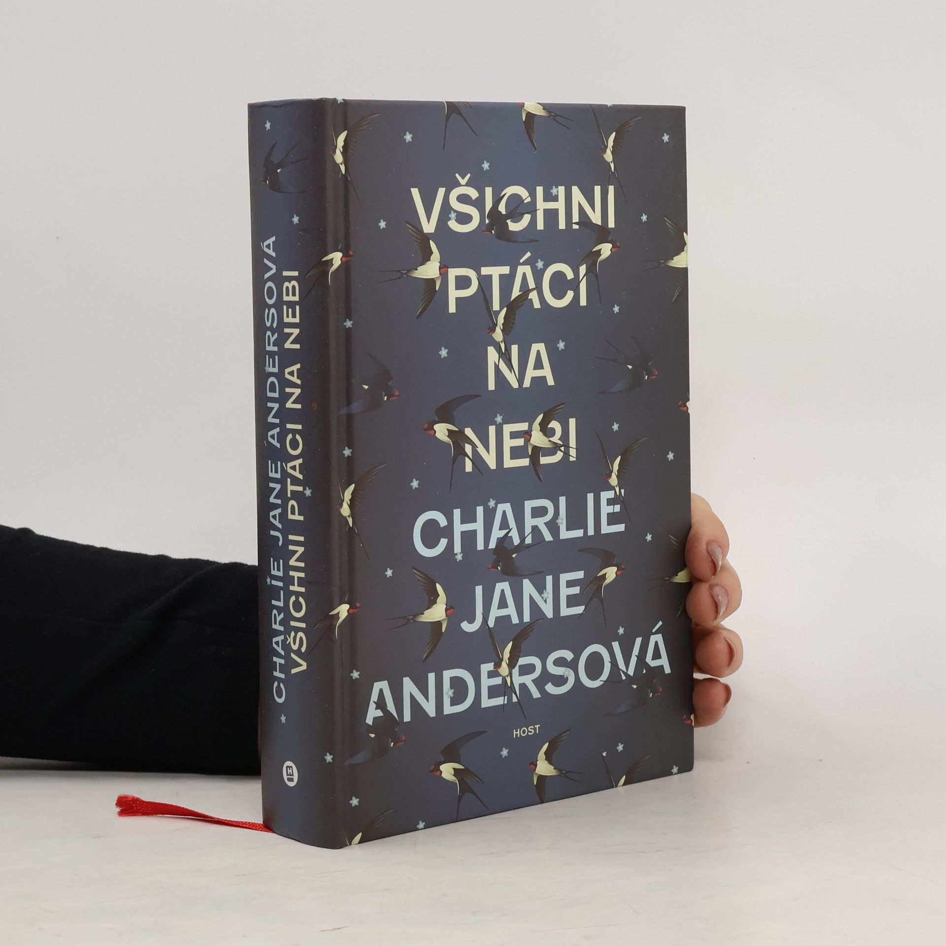 Všichni ptáci na nebi