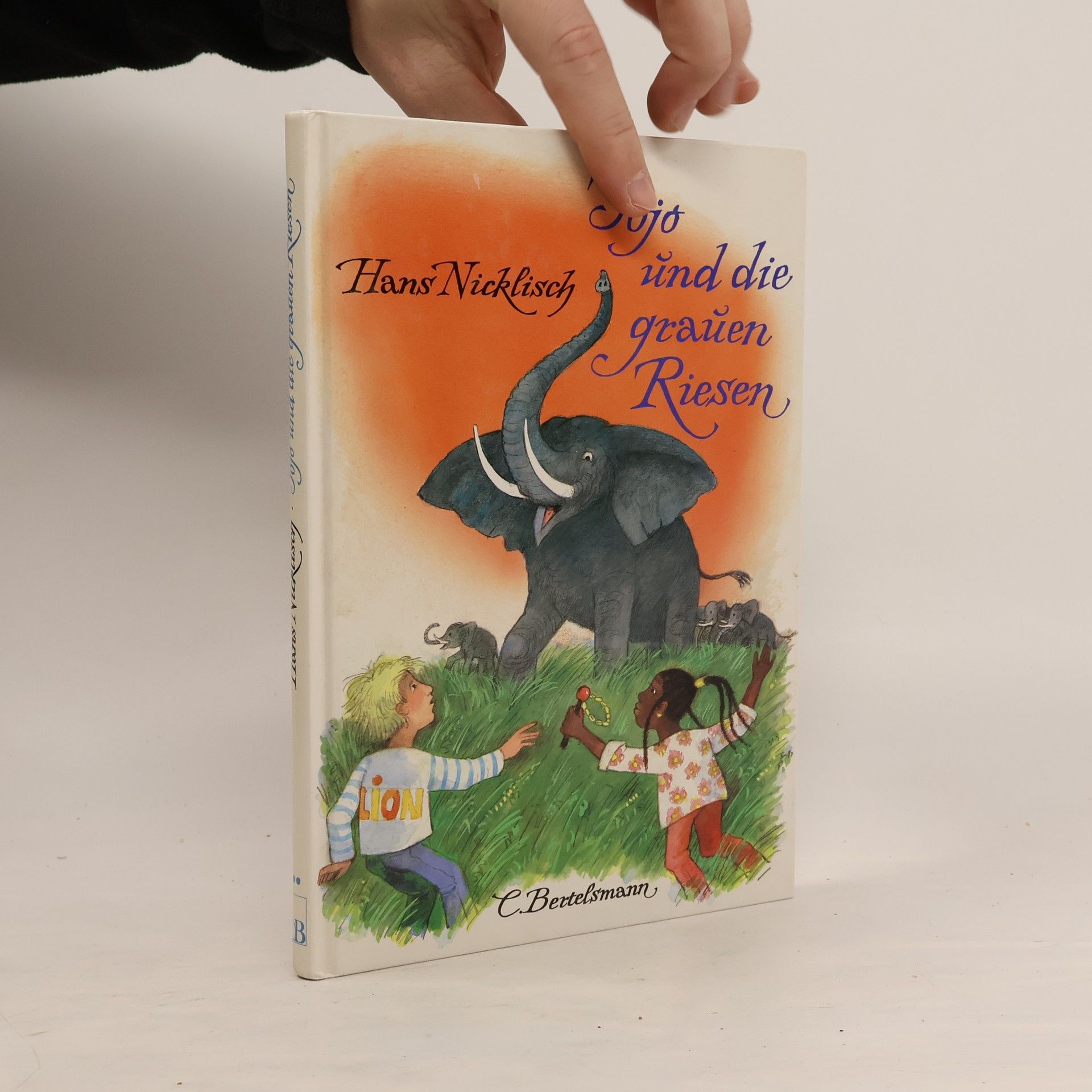 Jojo und die grauen Riesen