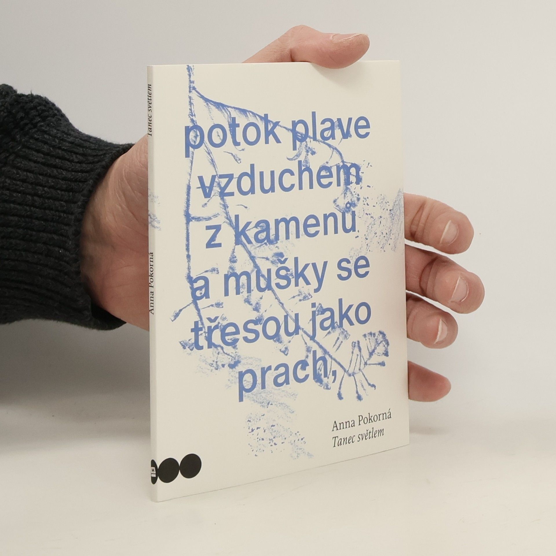 Anna Pokorná Tanec světlem