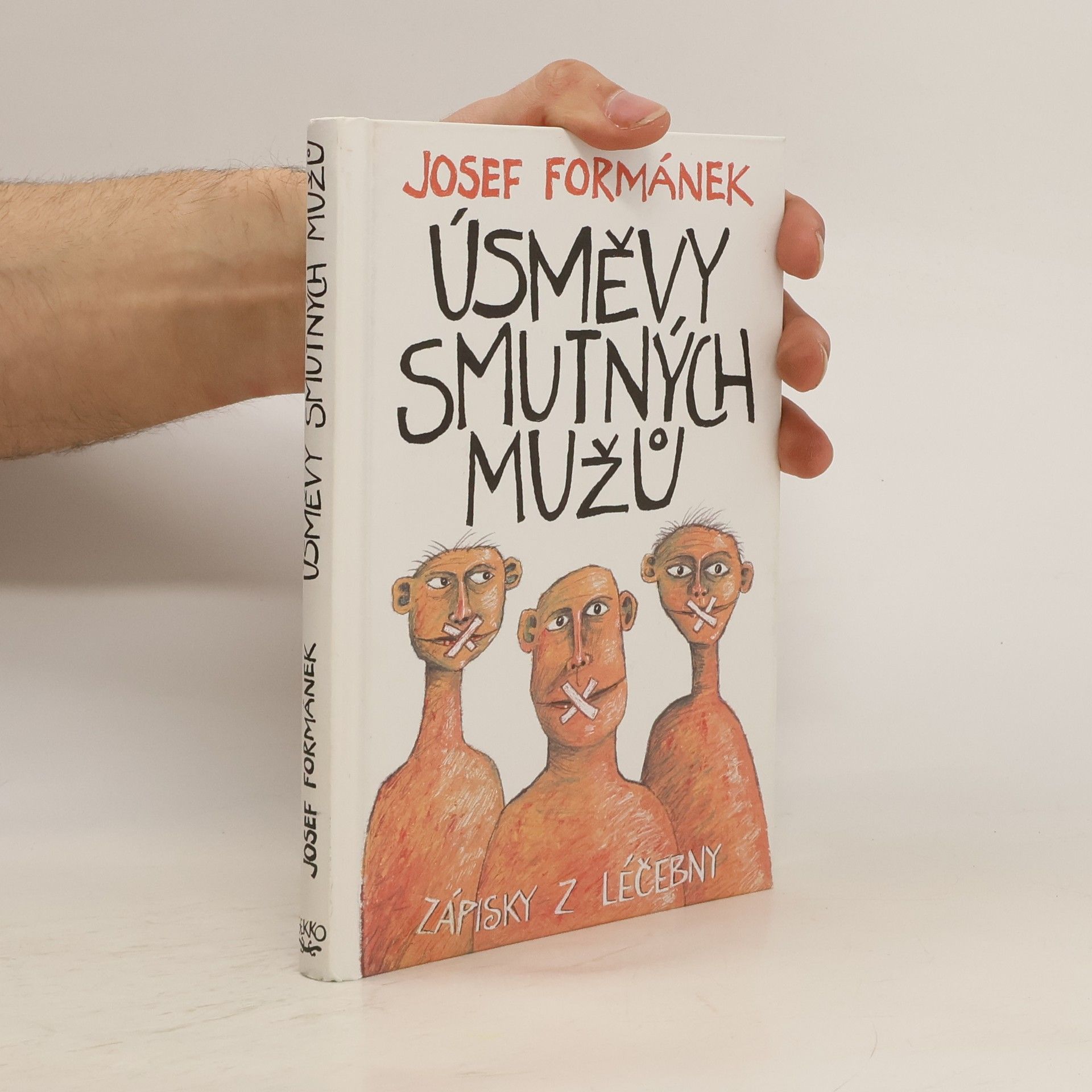 Úsměvy smutných mužů. Zápisky z léčebny