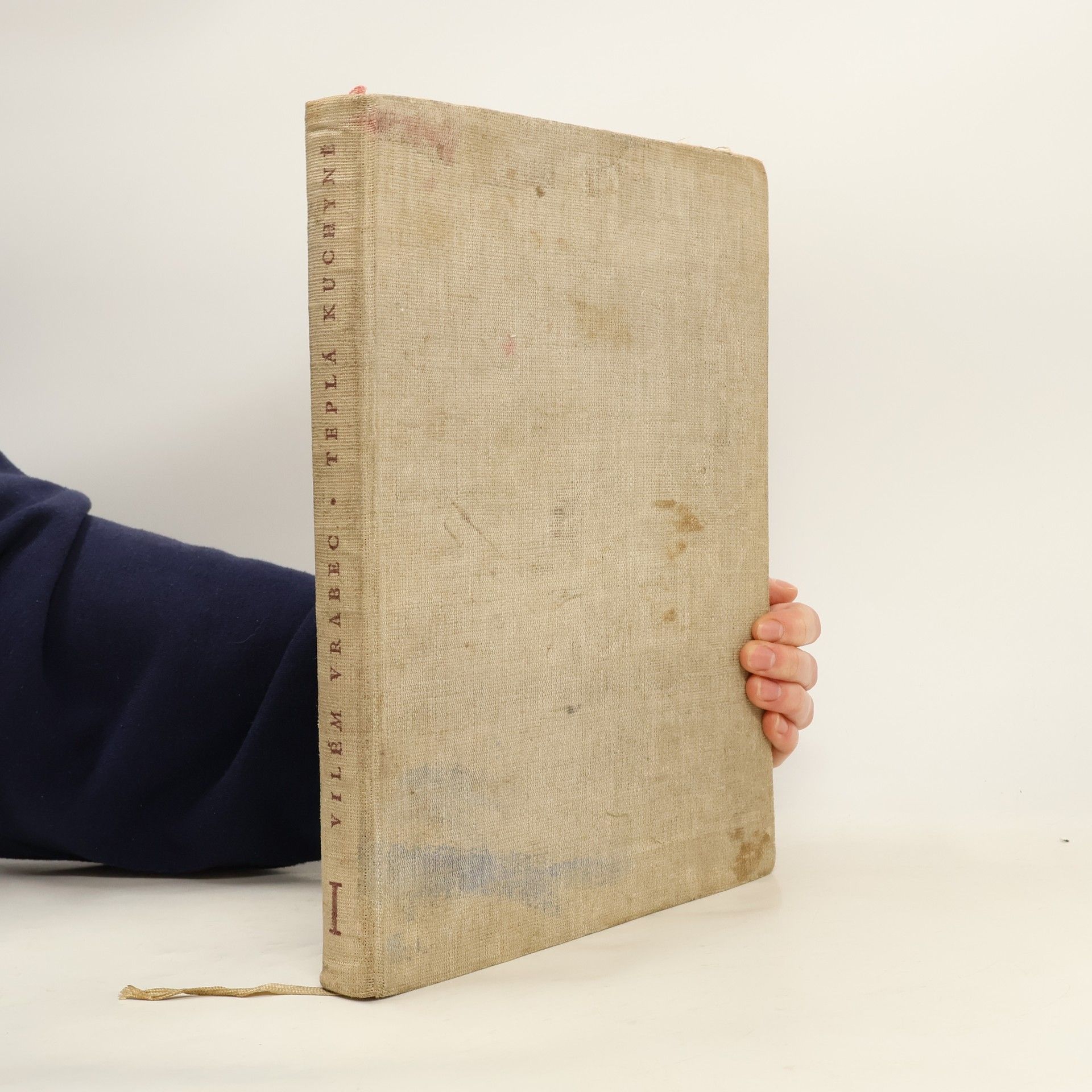 Vilém Vrabec Teplá kuchyně I.