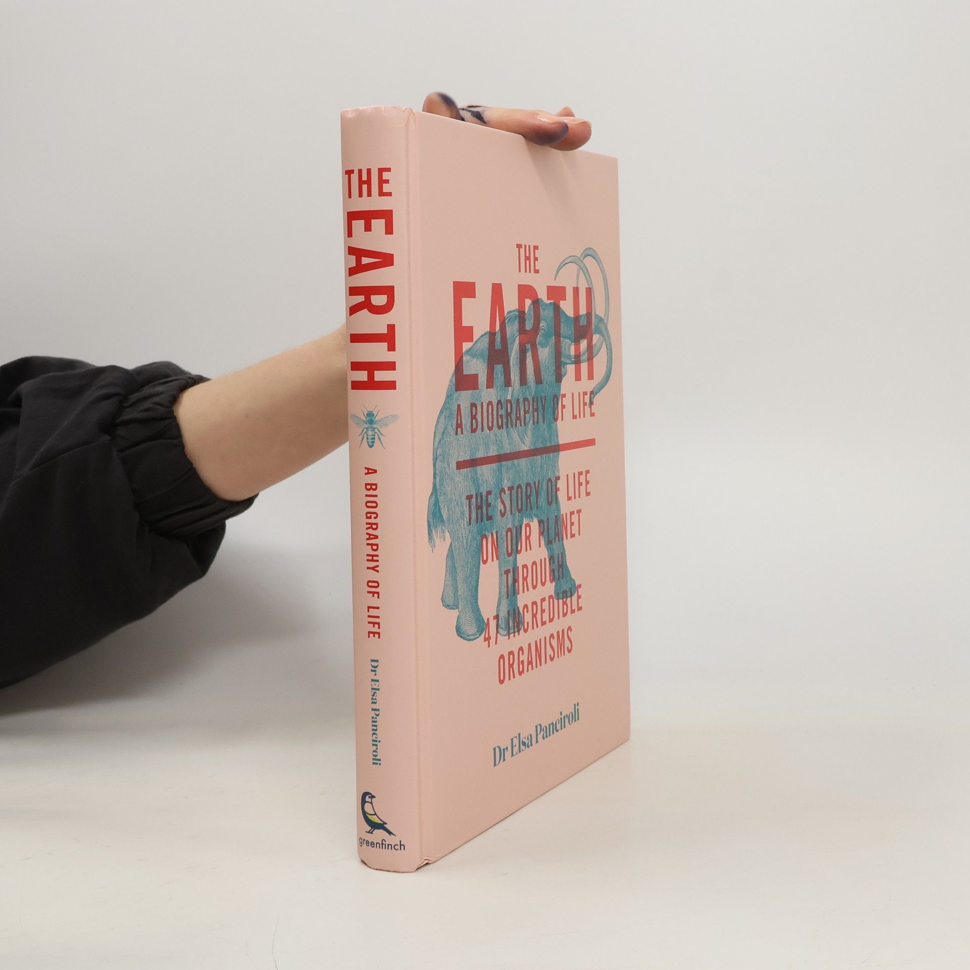 Elsa Panciroli The Earth