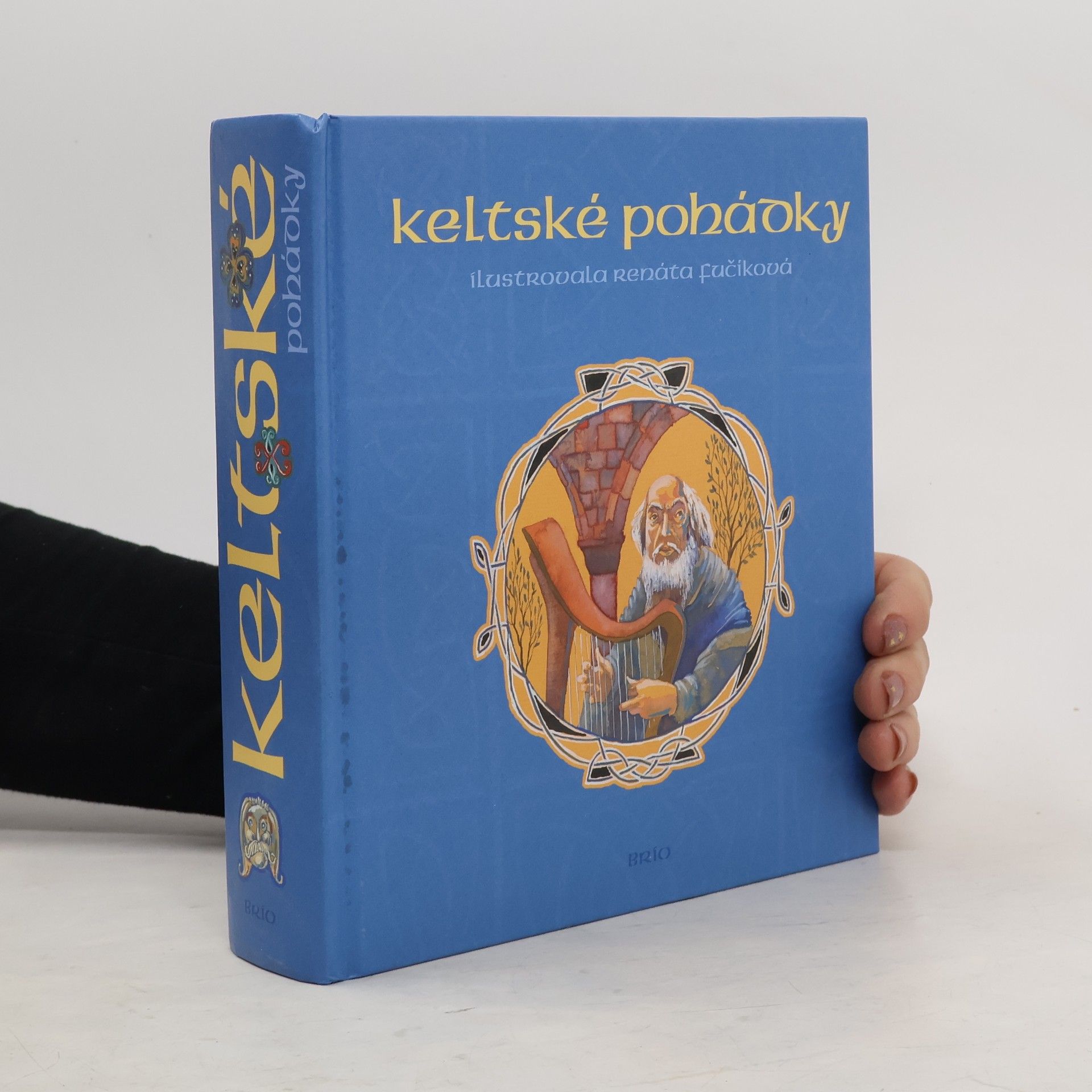 Renáta Fučíková Keltské pohádky : [z francouzských literárních zdrojů]