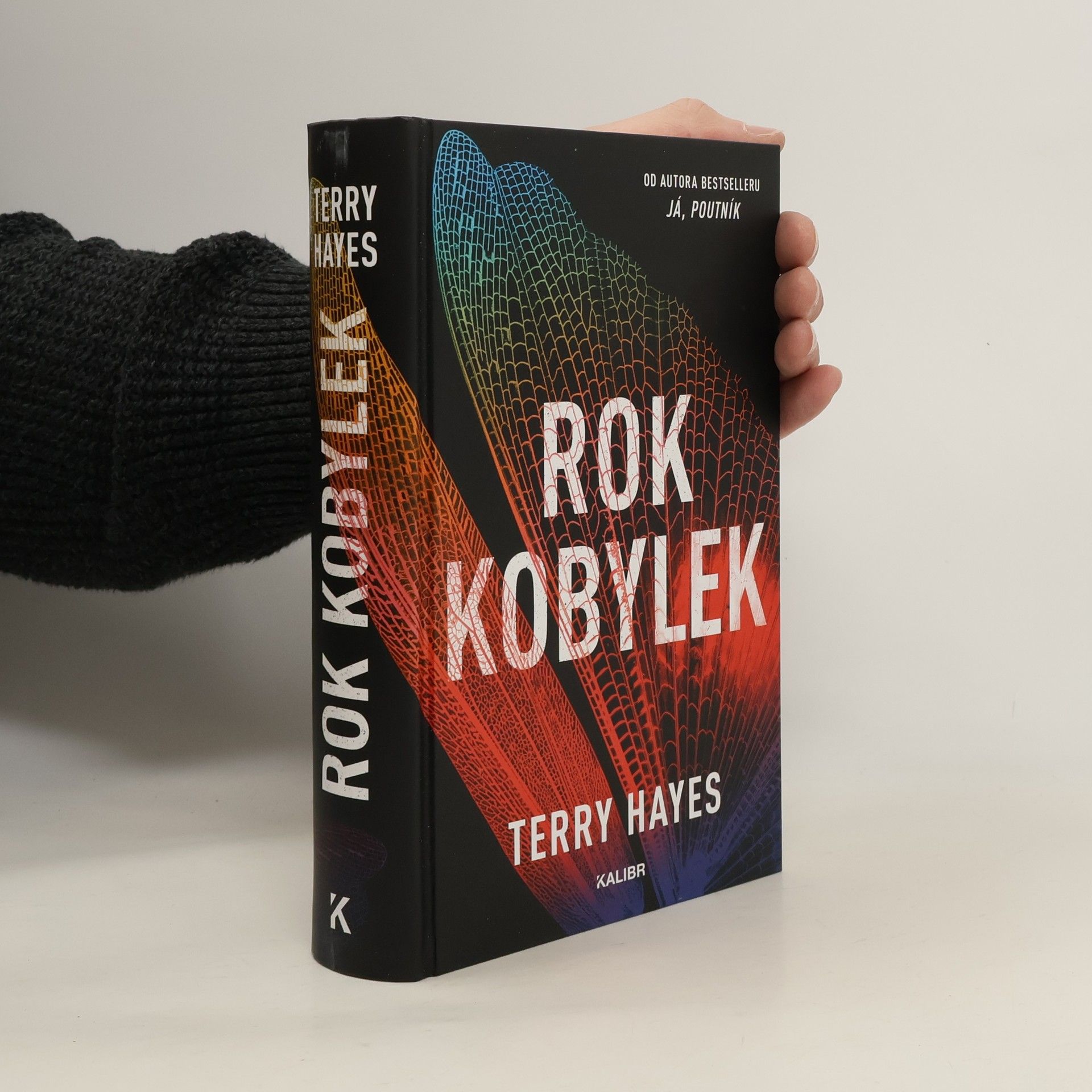 Terry Hayes Rok kobylek