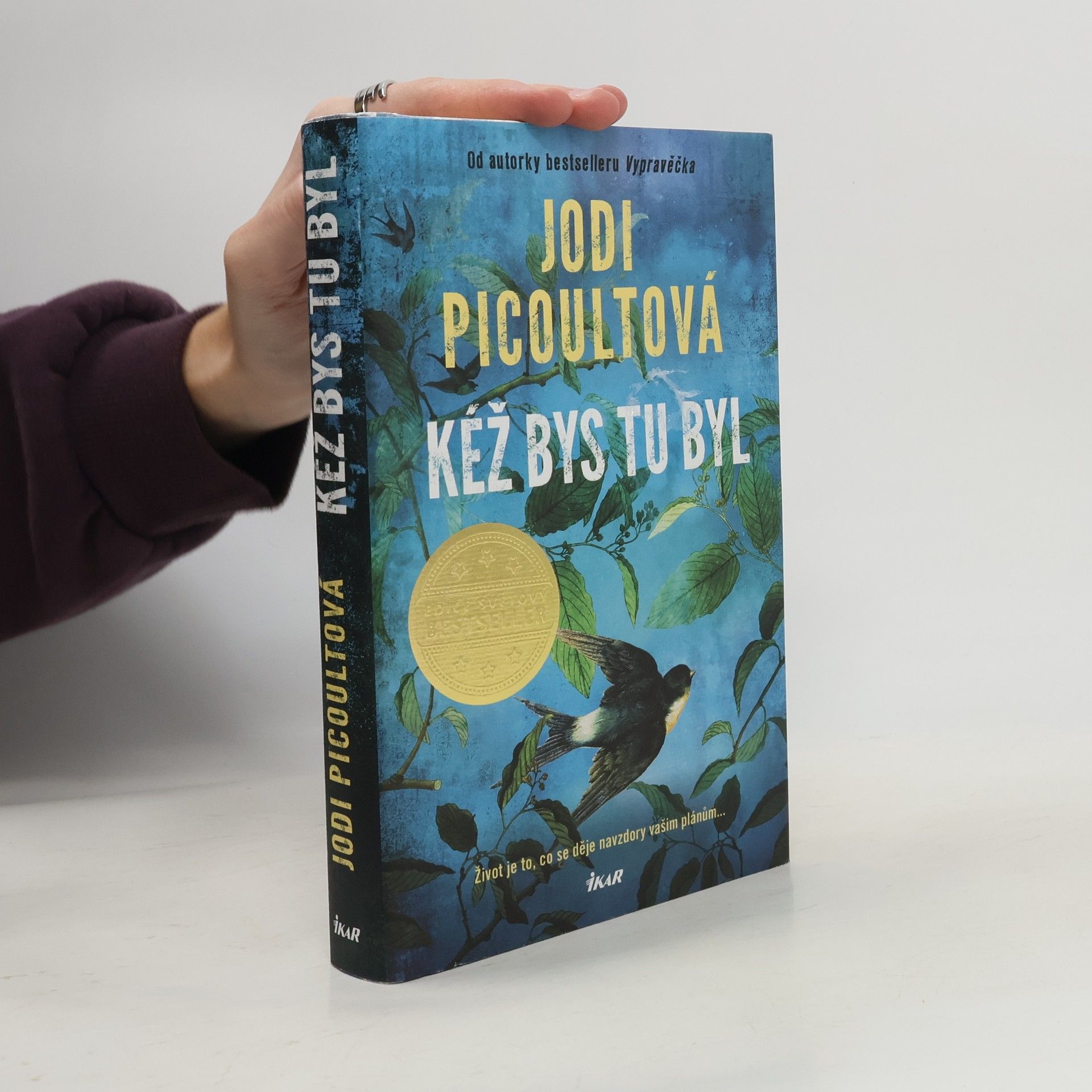 Marcela Nejedlá Kéž bys tu byl