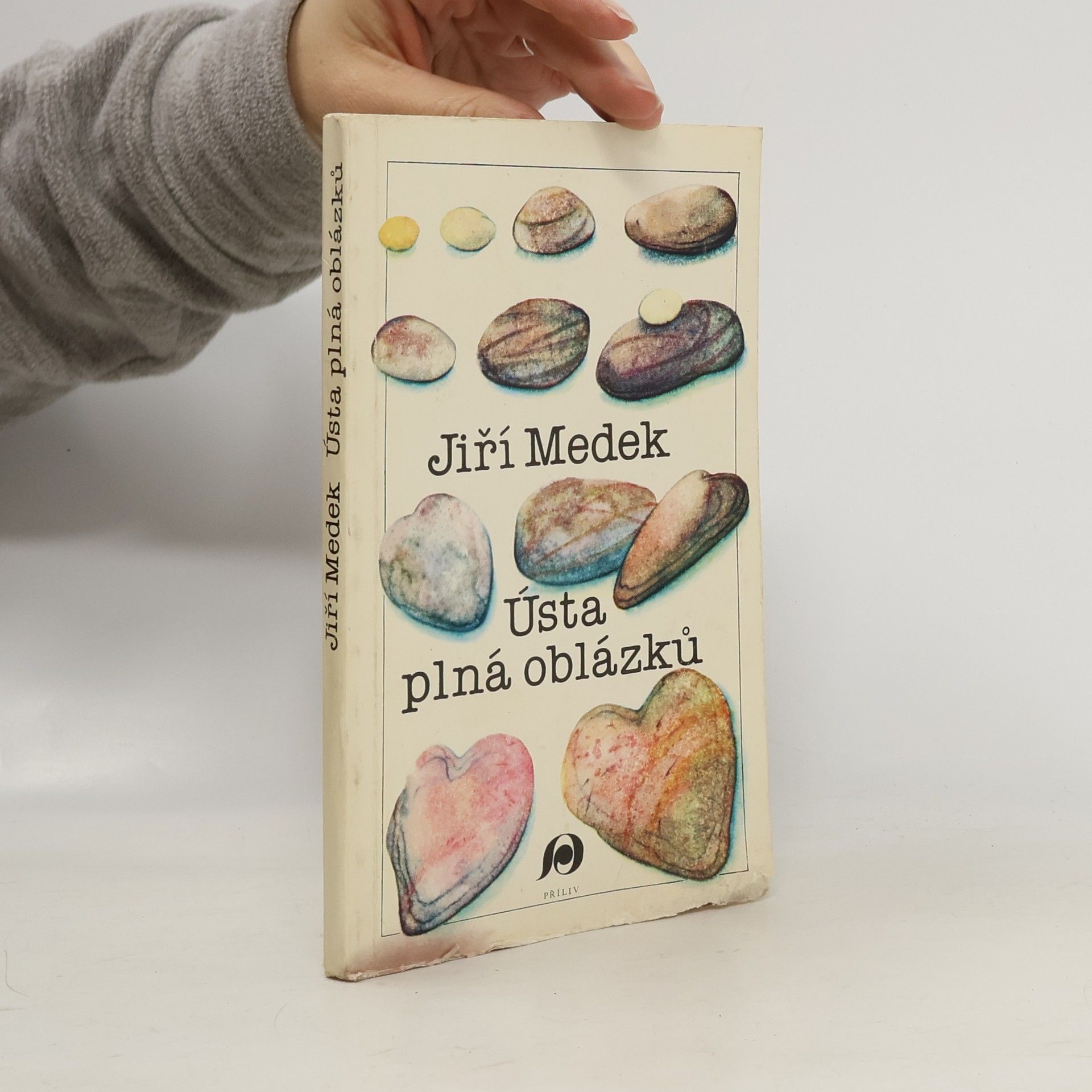 Medek Jiří Ústa plná oblázků