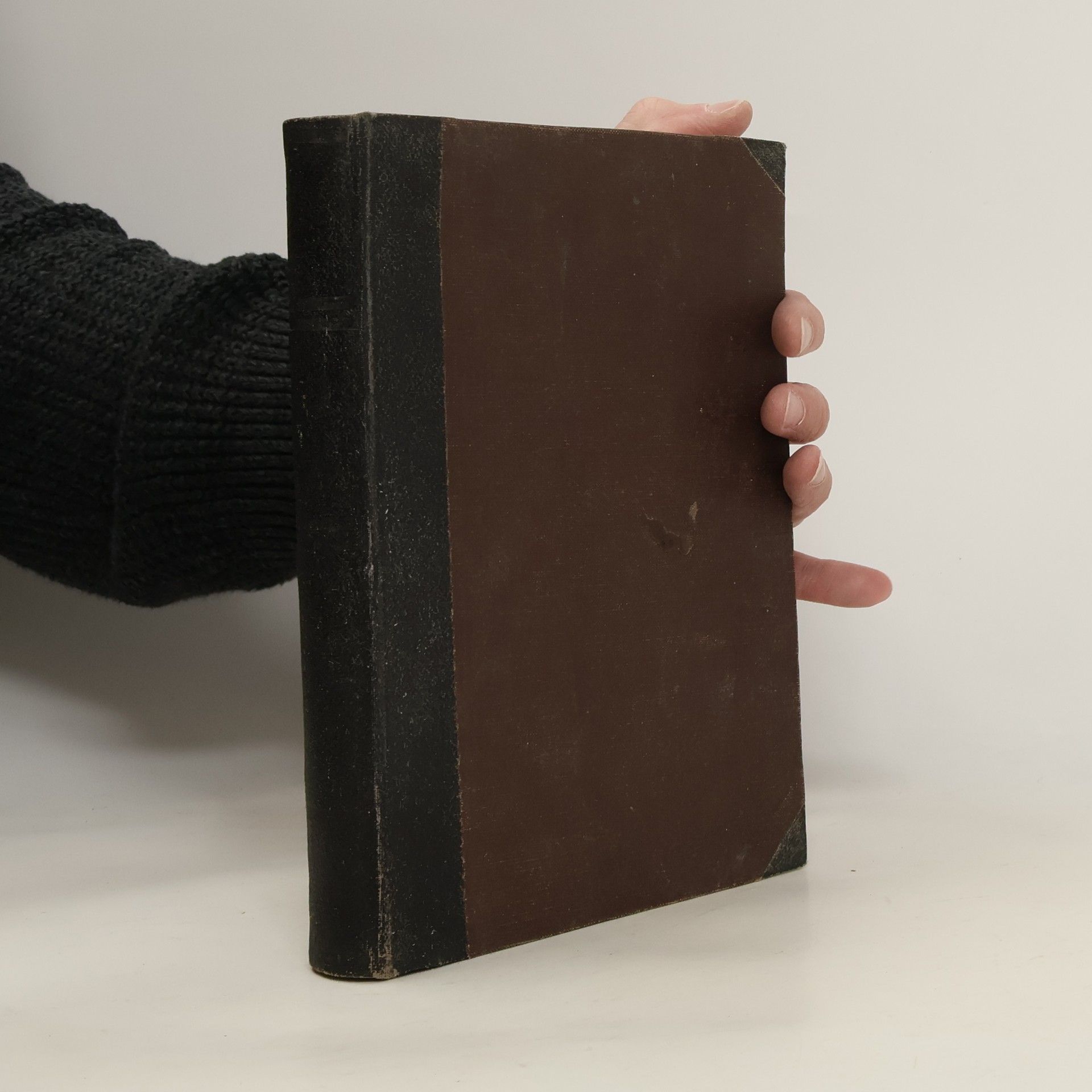 Židozednářství. Metla světa