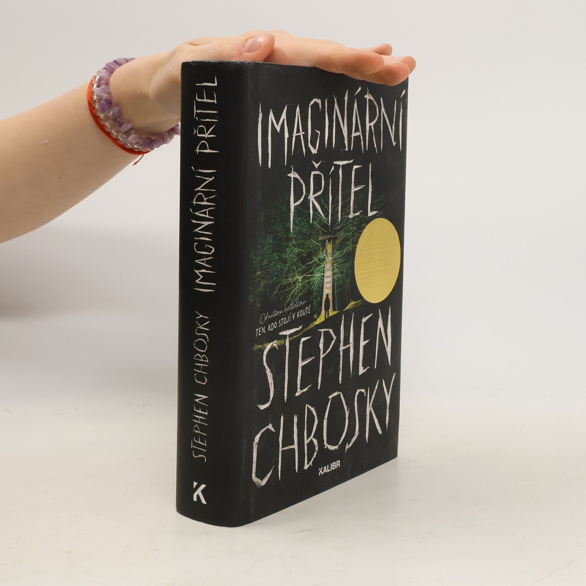 Stephen Chbosky Imaginární přítel