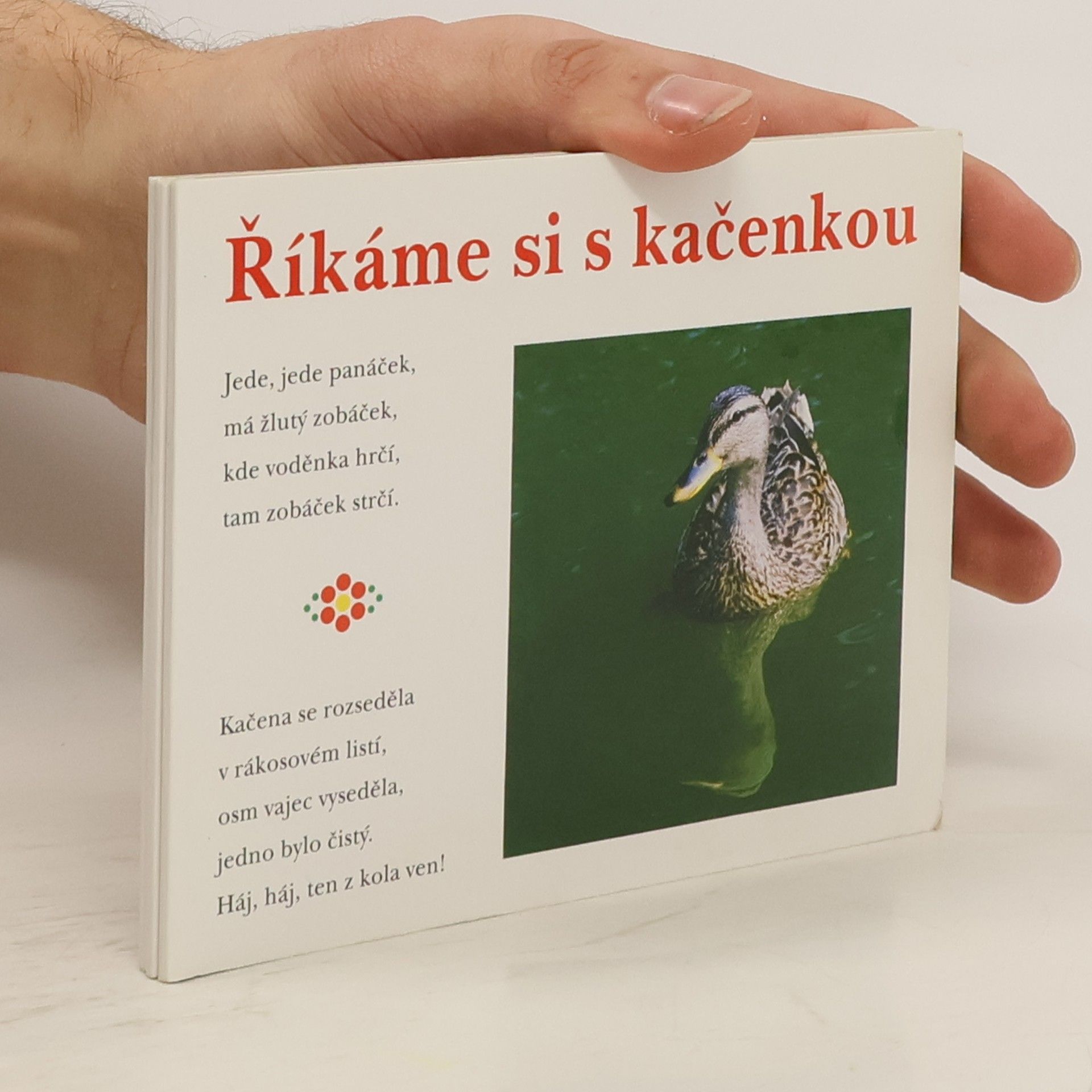 Eva Fialová Říkáme si s koťátkem