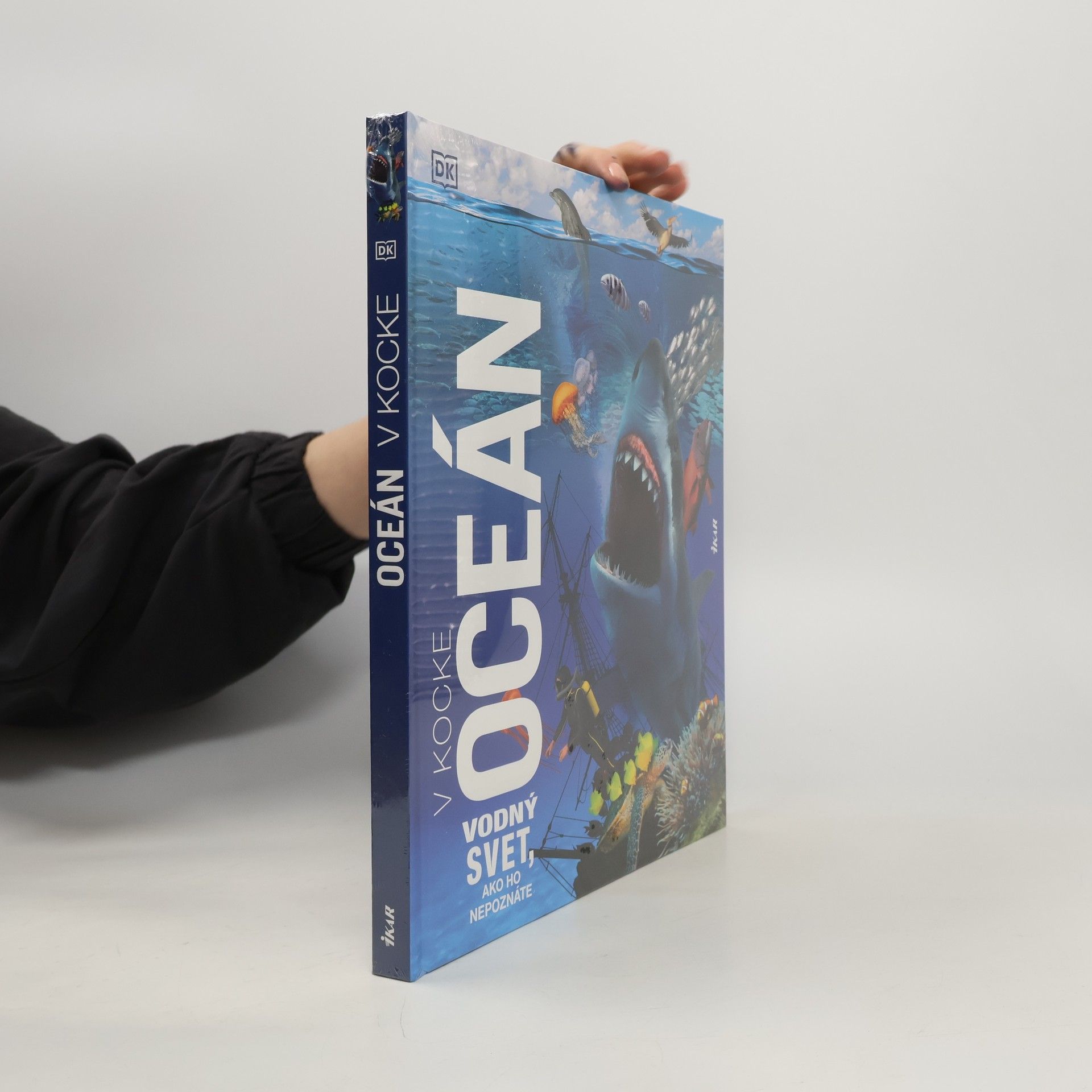 Collectif d'auteurs Oceán v kocke