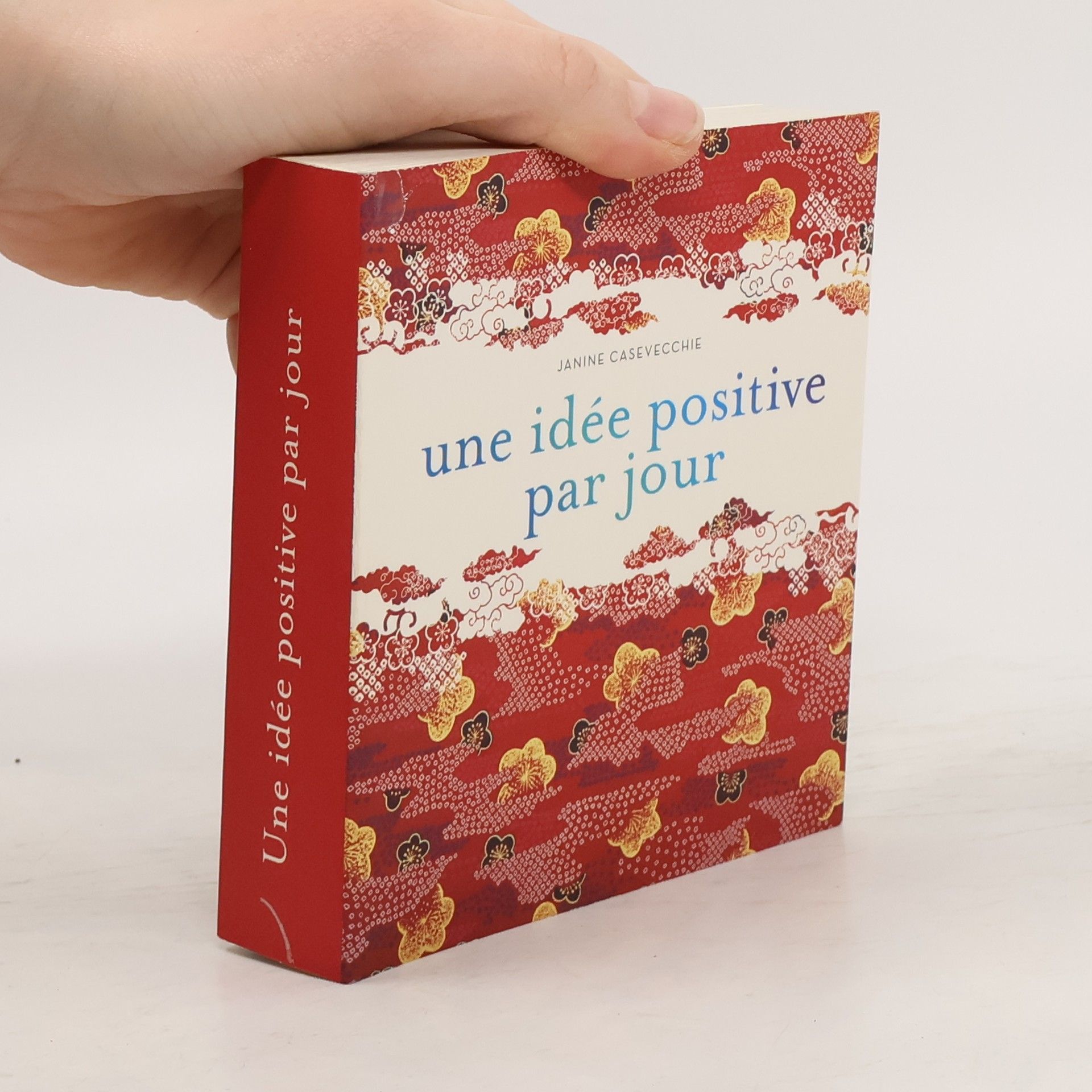 Janine Casevecchie Une idée positive par jour