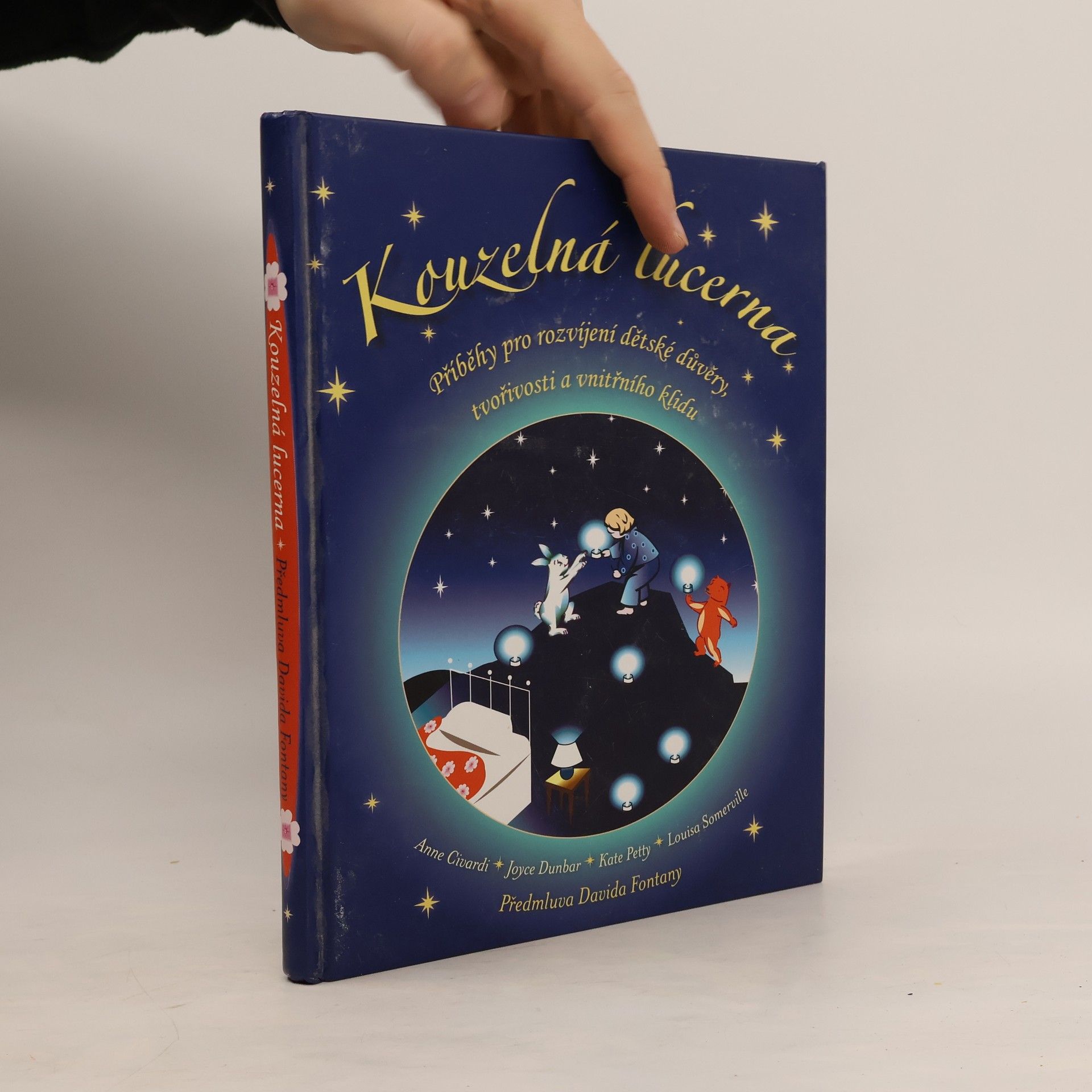 Joyce Dunbar Kouzelná lucerna