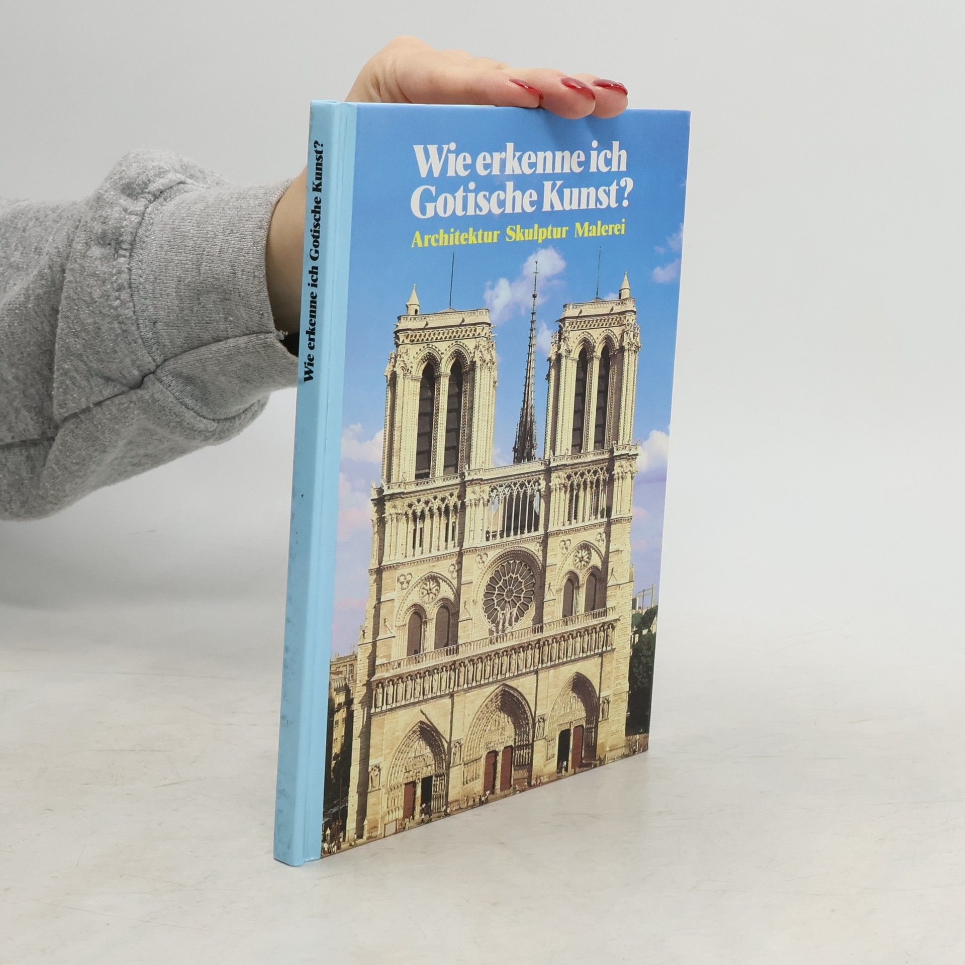 Maria Cristina Gozzoli Wie erkenne ich gotische Kunst?
