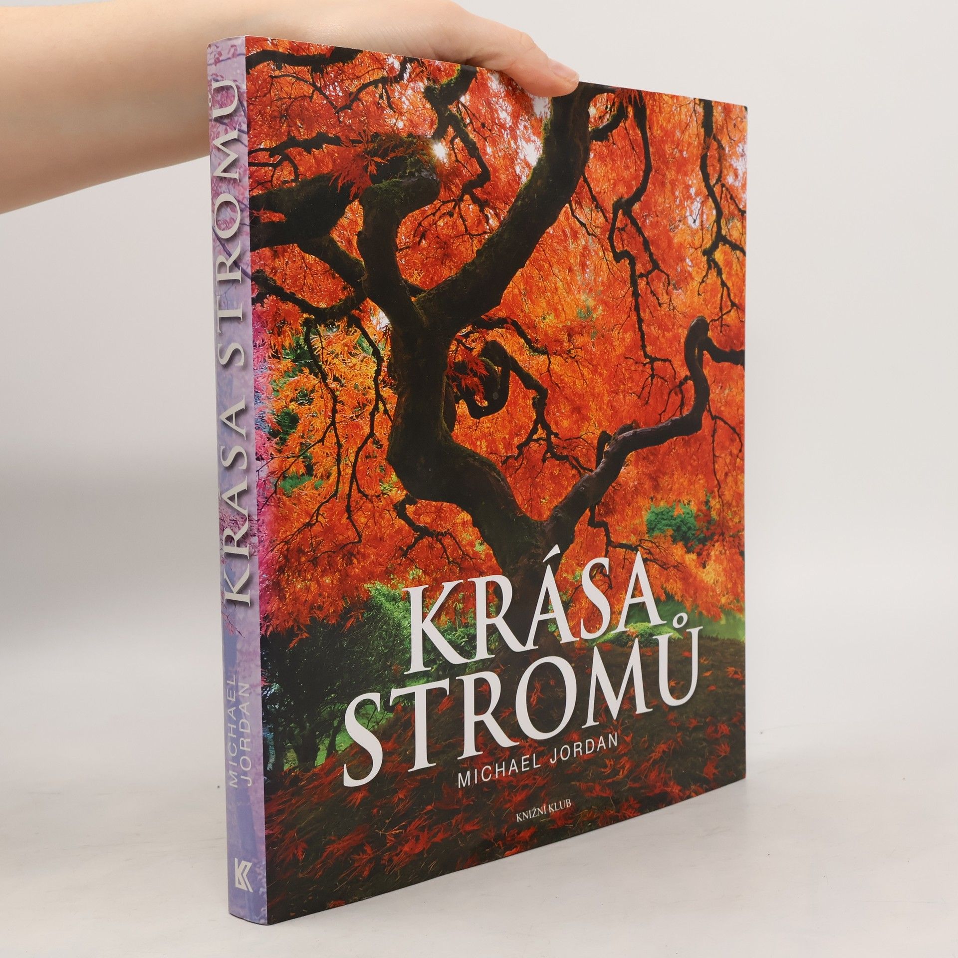 Michael Jordan Krása stromů