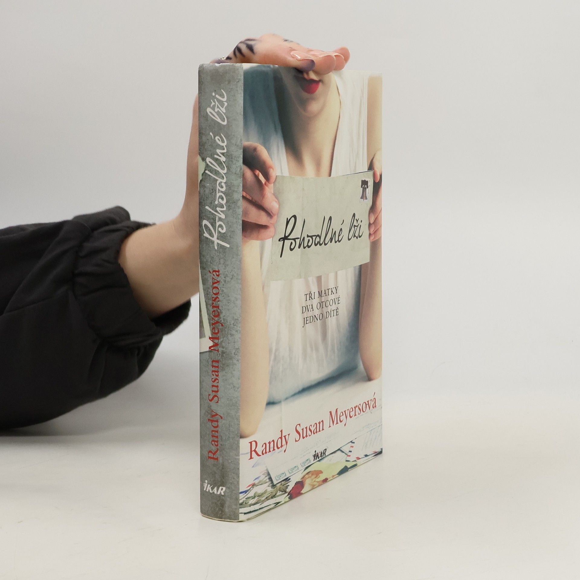 Randy Susan Meyers Pohodlné lži