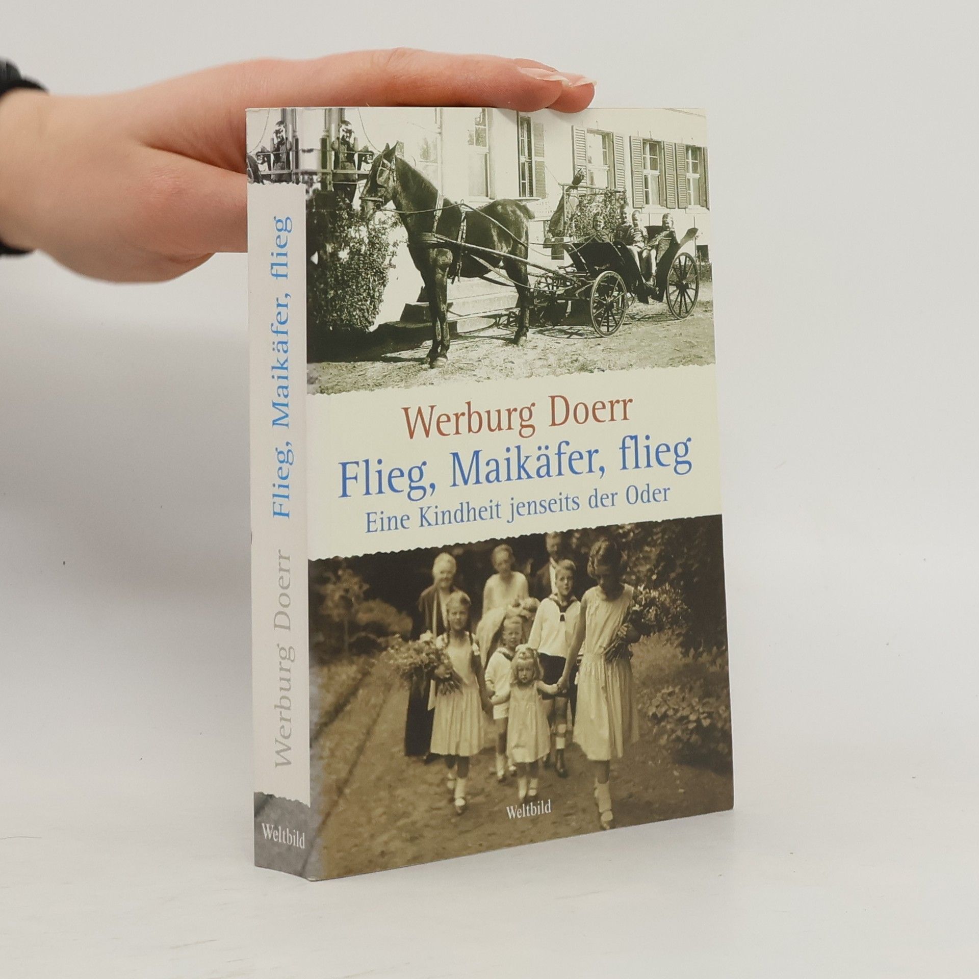 Flieg, Maikäfer, flieg