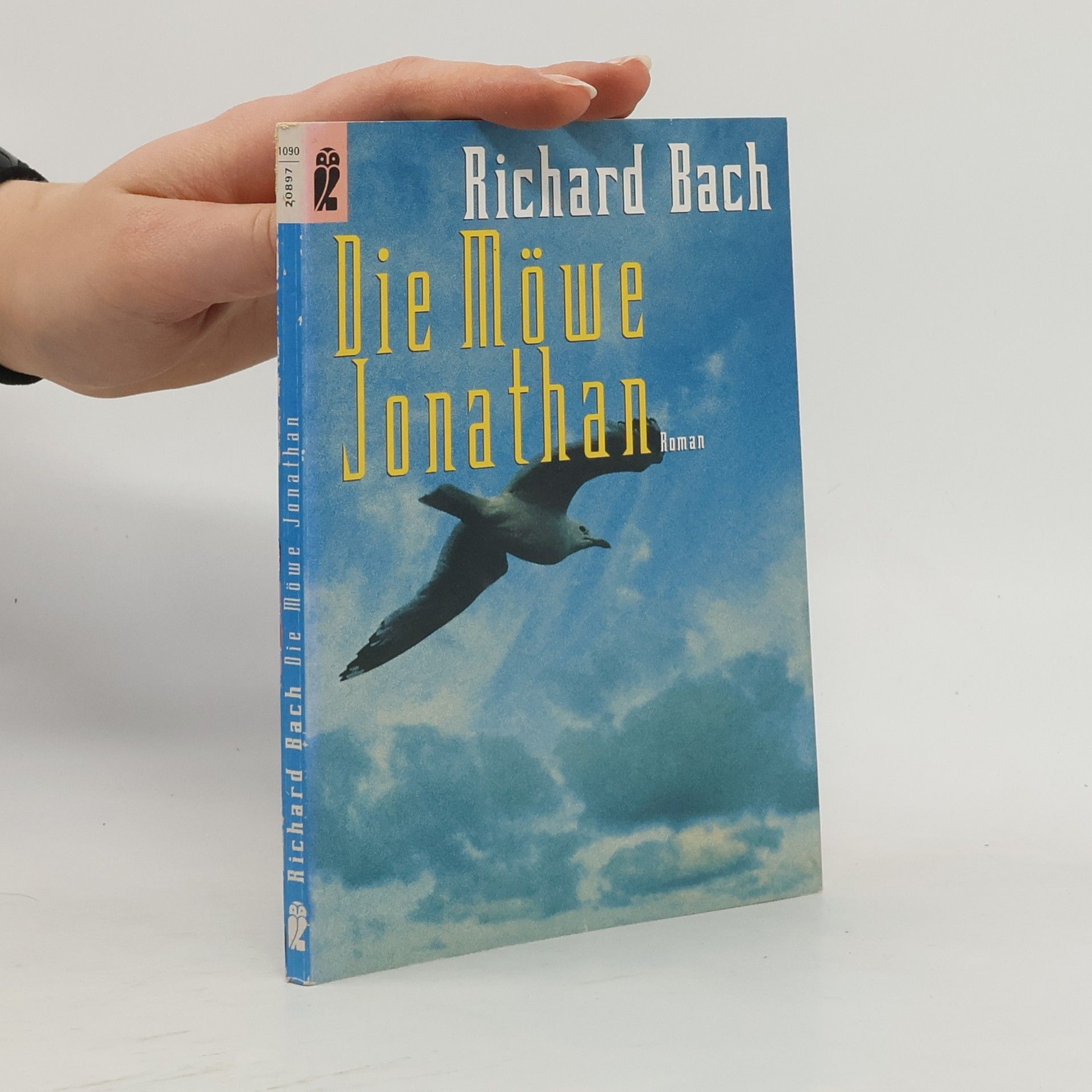 Richard Bach Die Möwe Jonathan