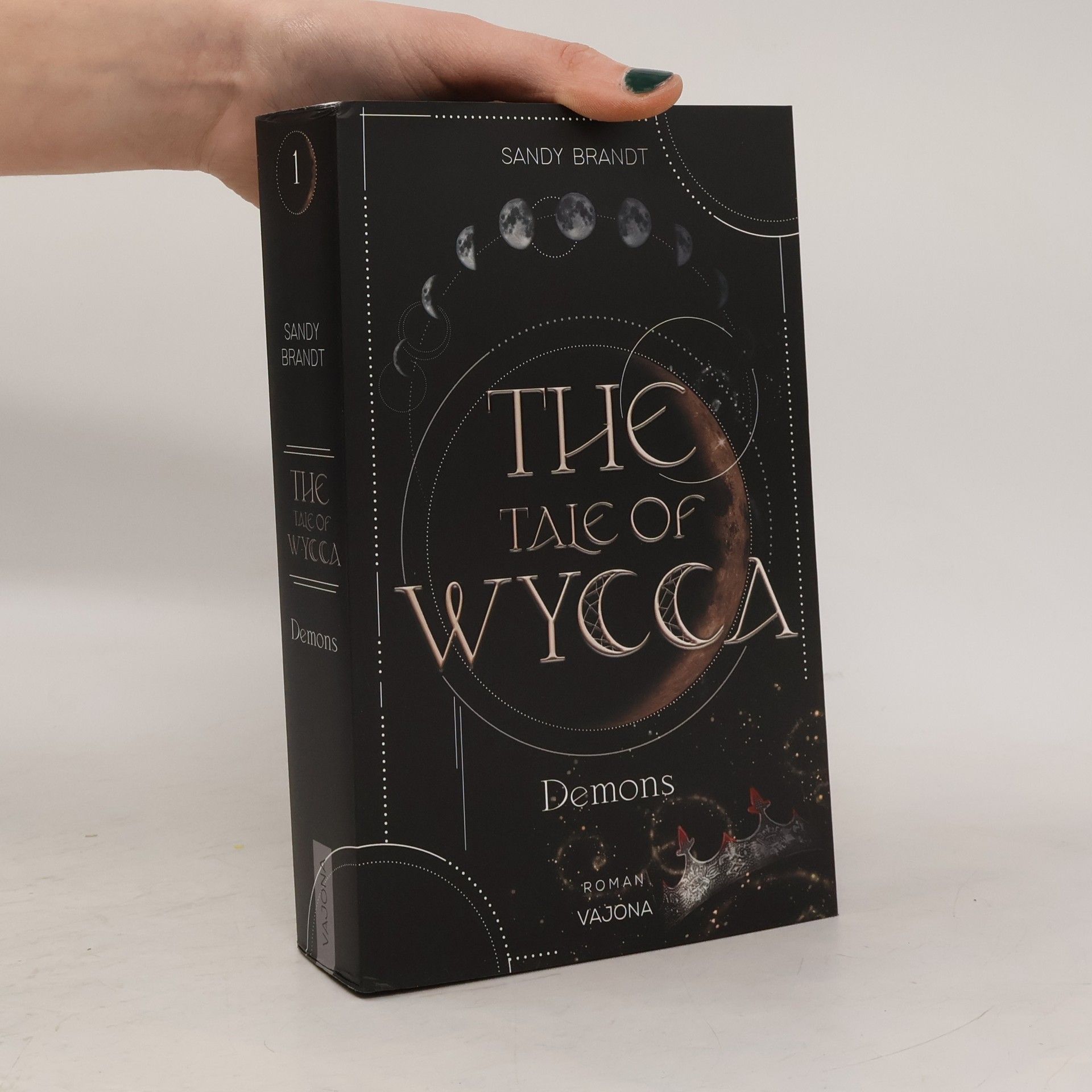 Sandy Brandt The Tale of Wycca 1. Demons