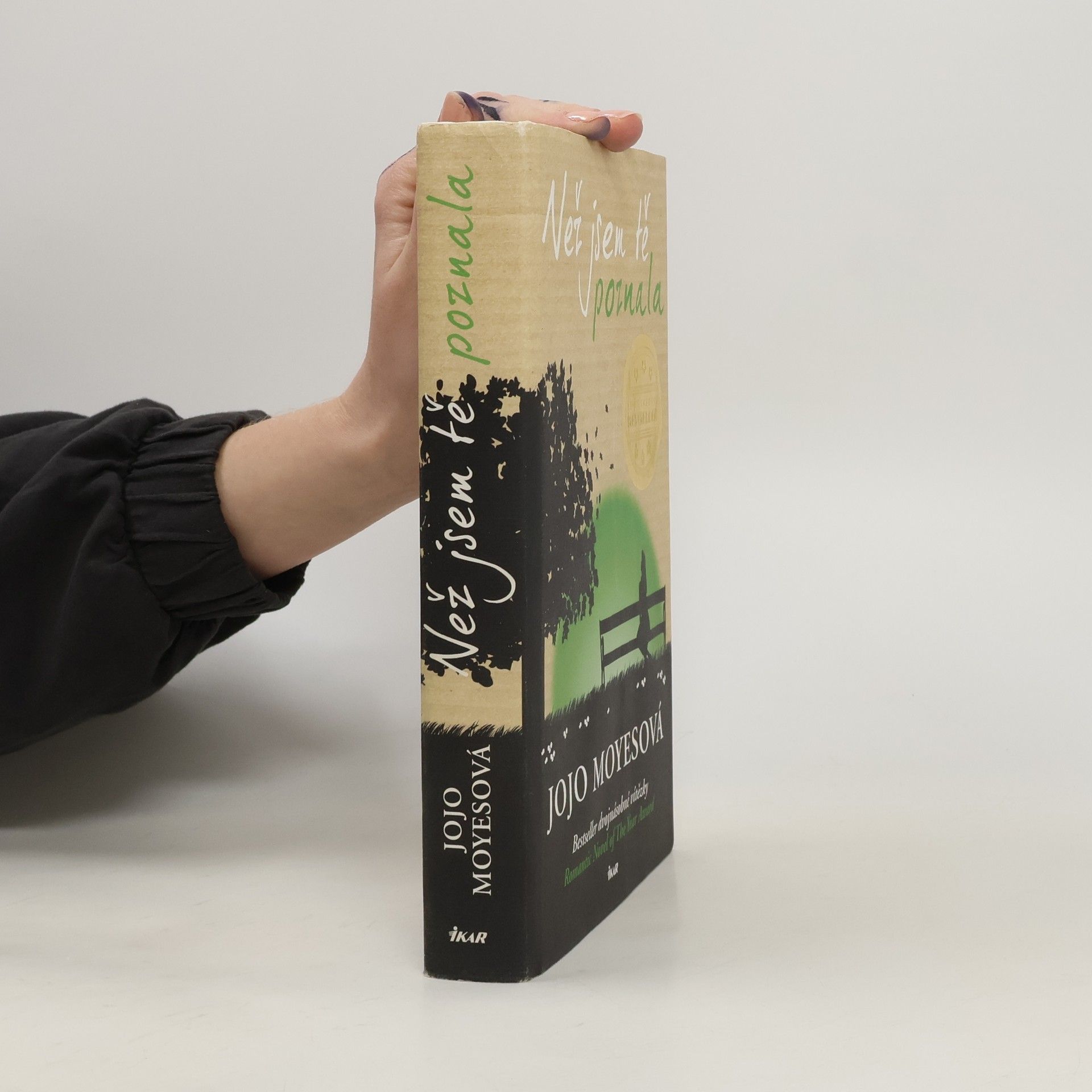 Než jsem tě poznala