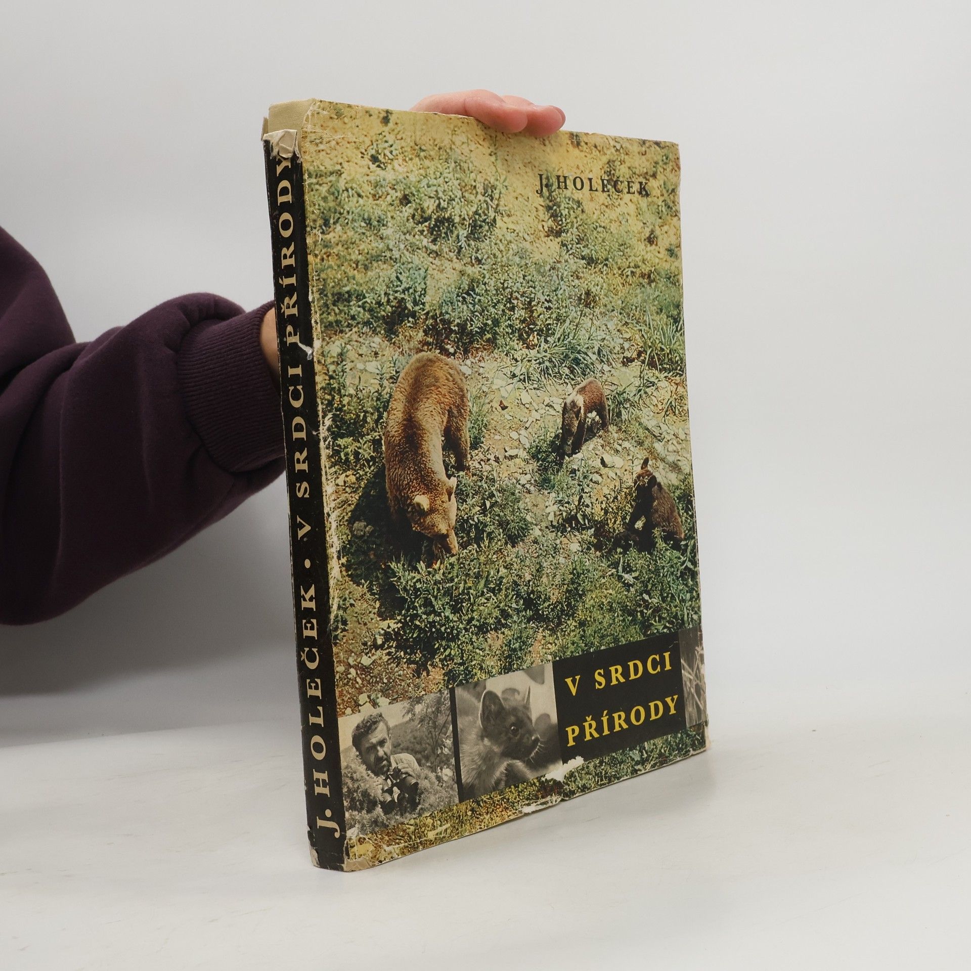 Jaroslav Holeček V srdci přírody