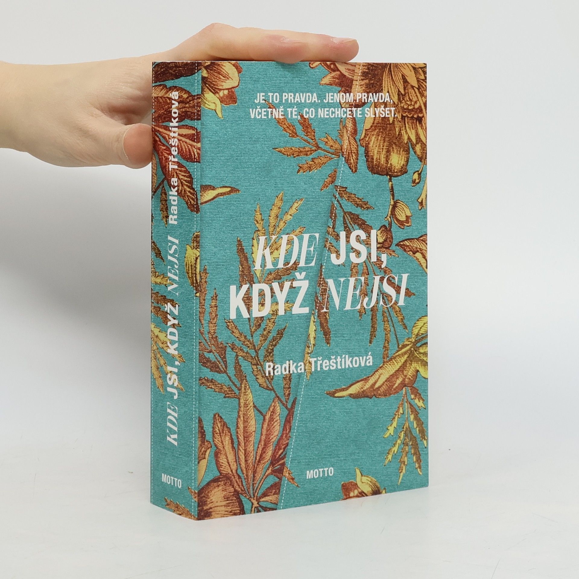 Radka Třeštíková Kde jsi, když nejsi