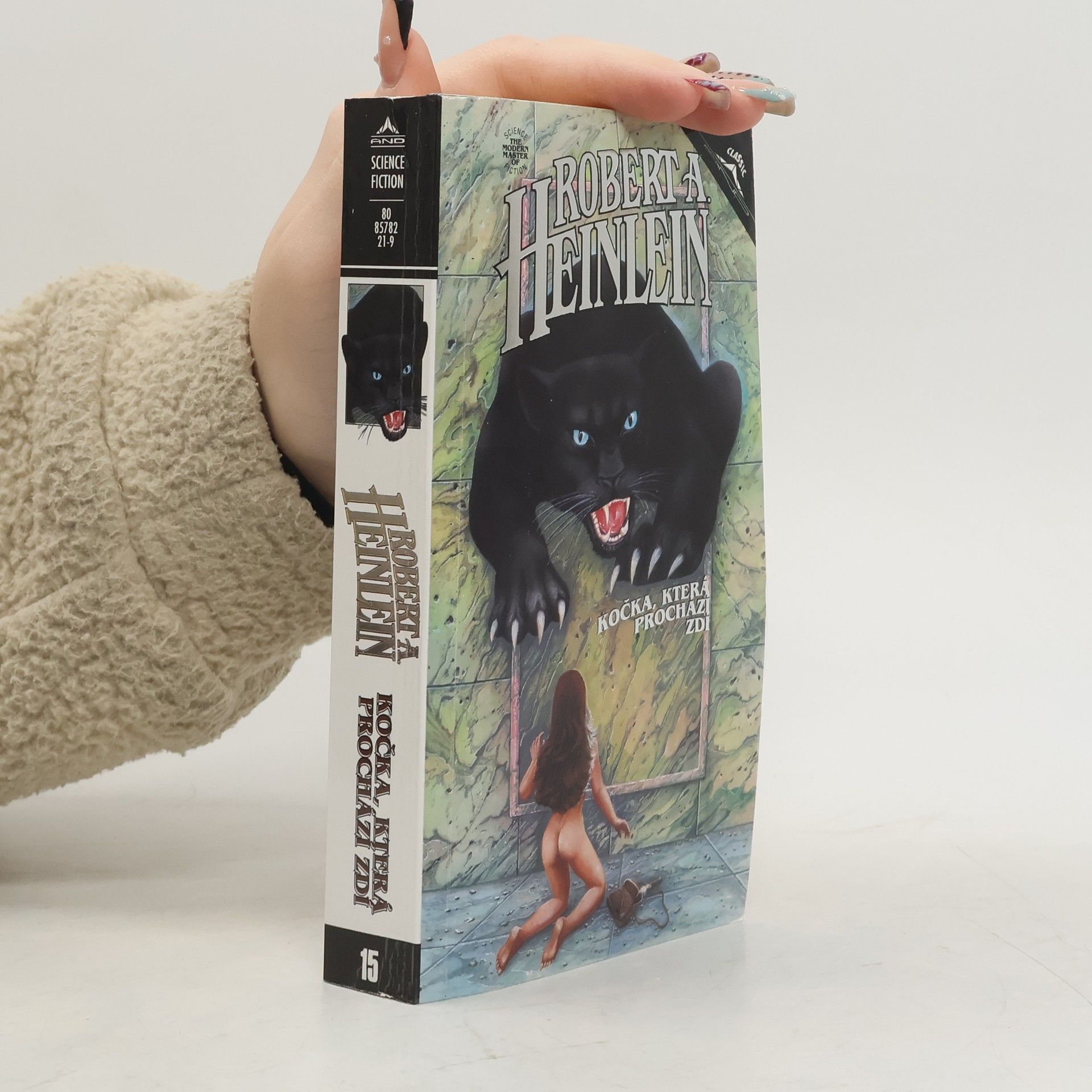 Kočka, která prochází zdí