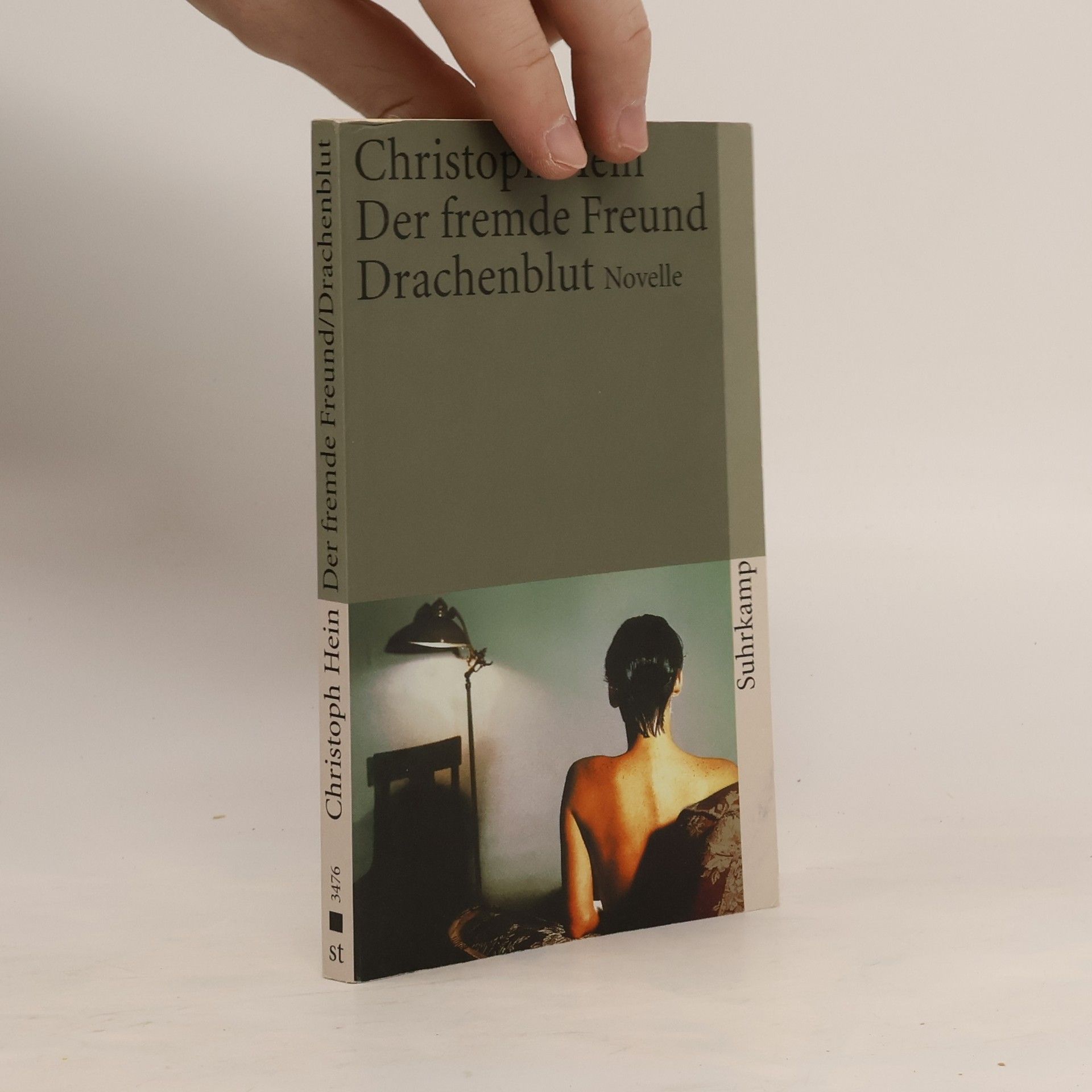 Christoph Hein Der fremde Freund