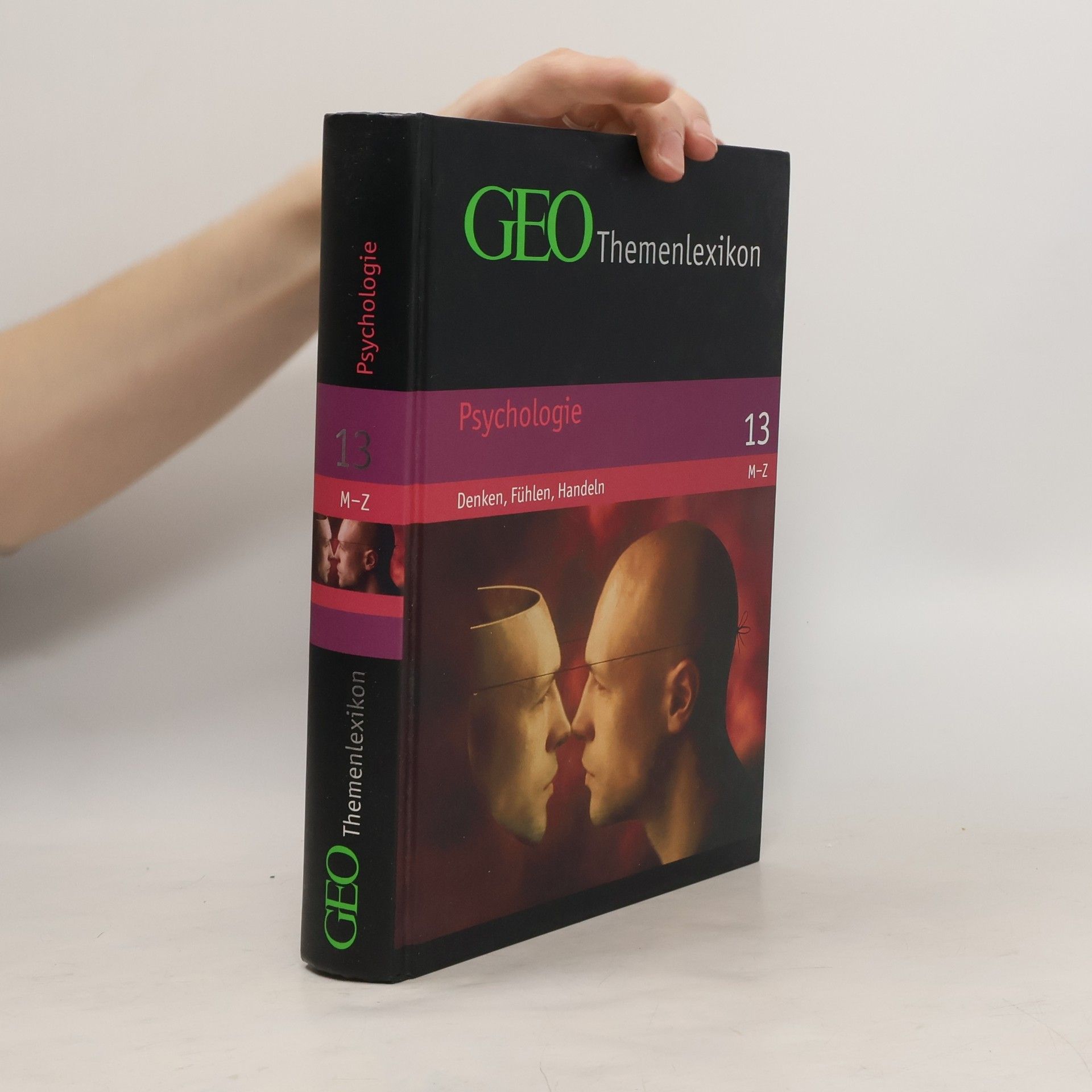 Peter Matthias Gaede Psychologie