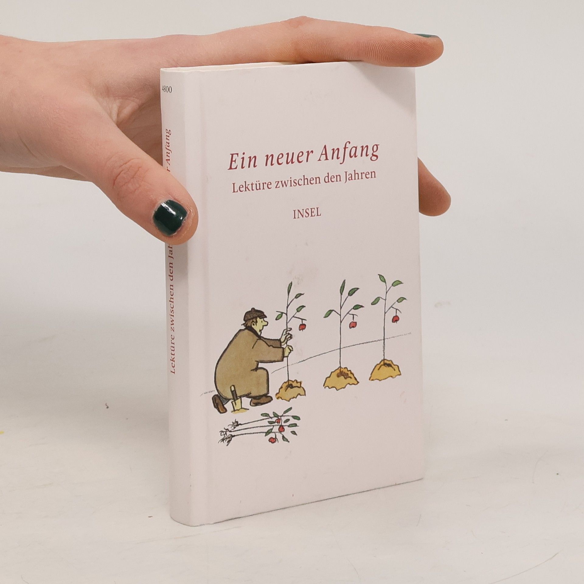 Clara Paul Lektüre zwischen den Jahren