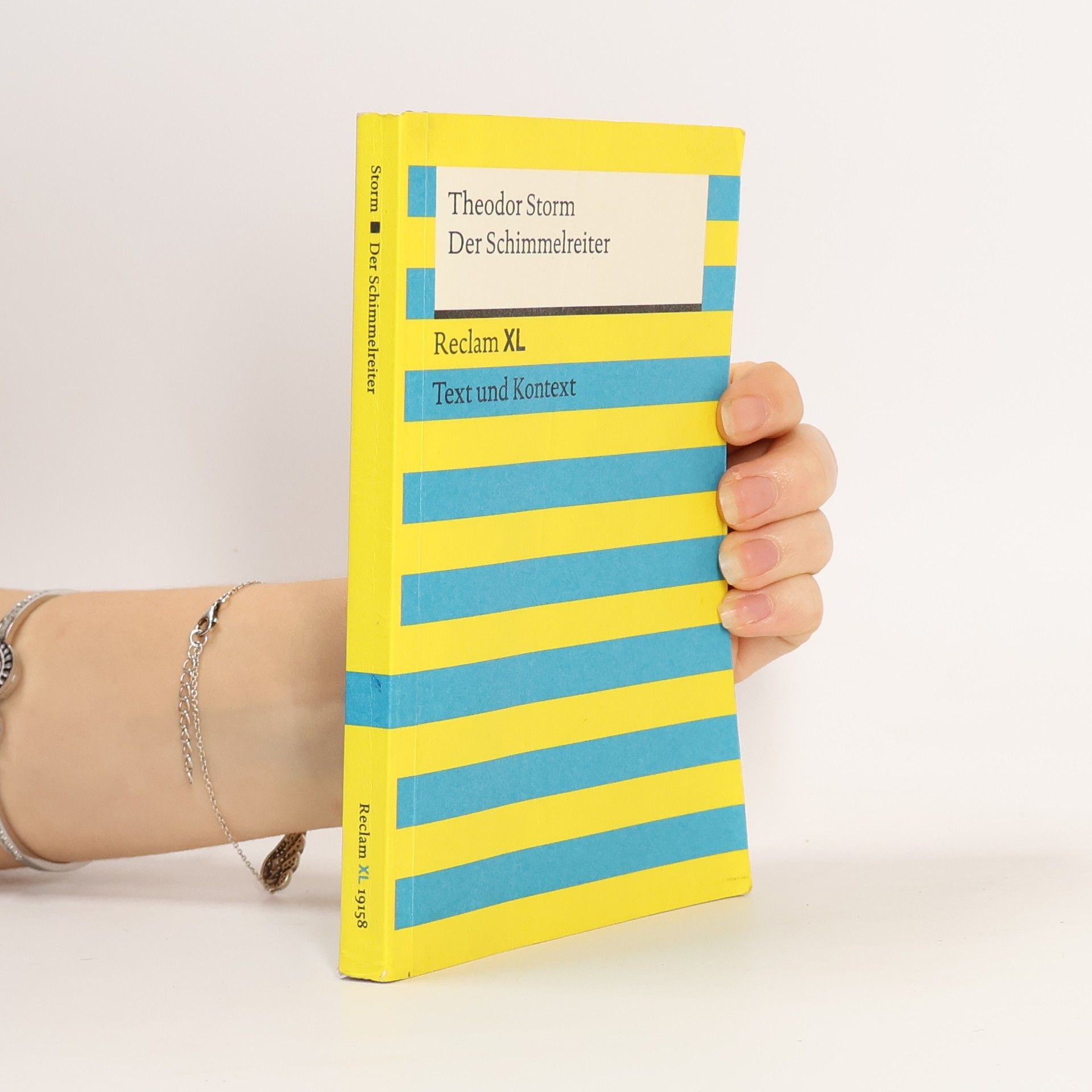 Theodor Storm Der Schimmelreiter. Reclam XL. Text und Kontext