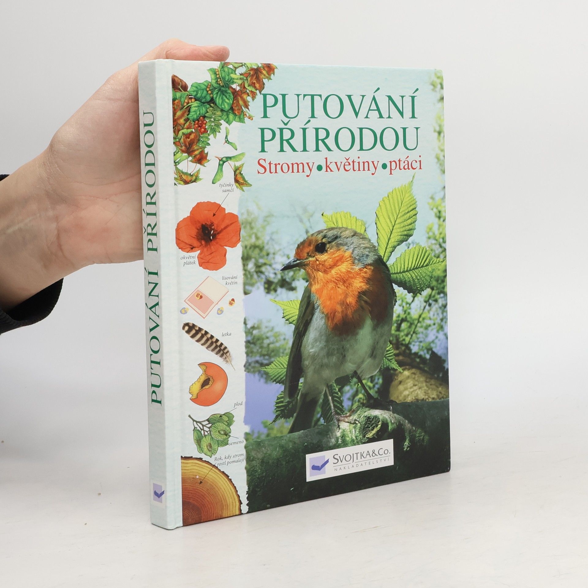 Kolektiv autorů Putování přírodou: Stromy, květiny, ptáci