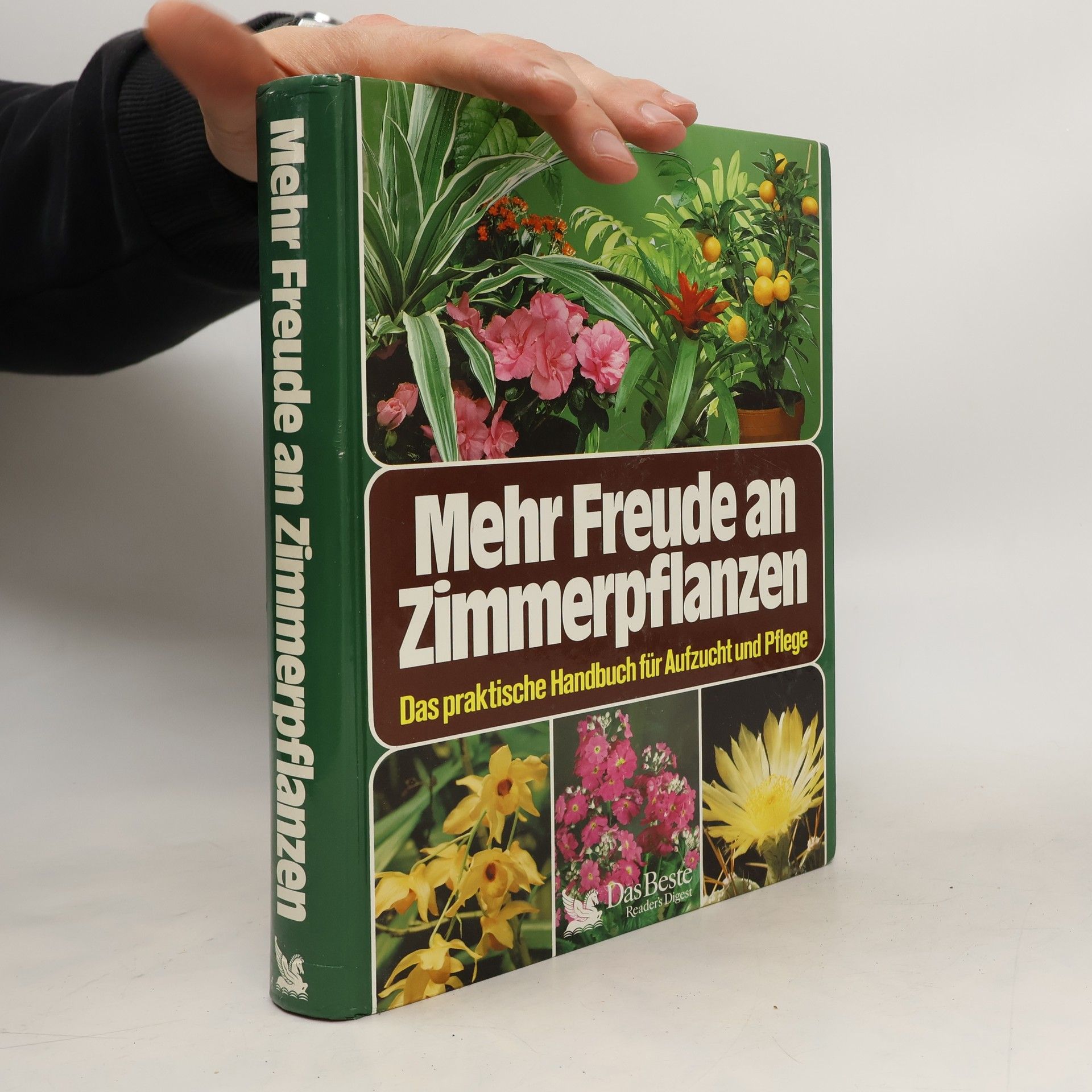 Mehr Freude an Zimmerpflanzen