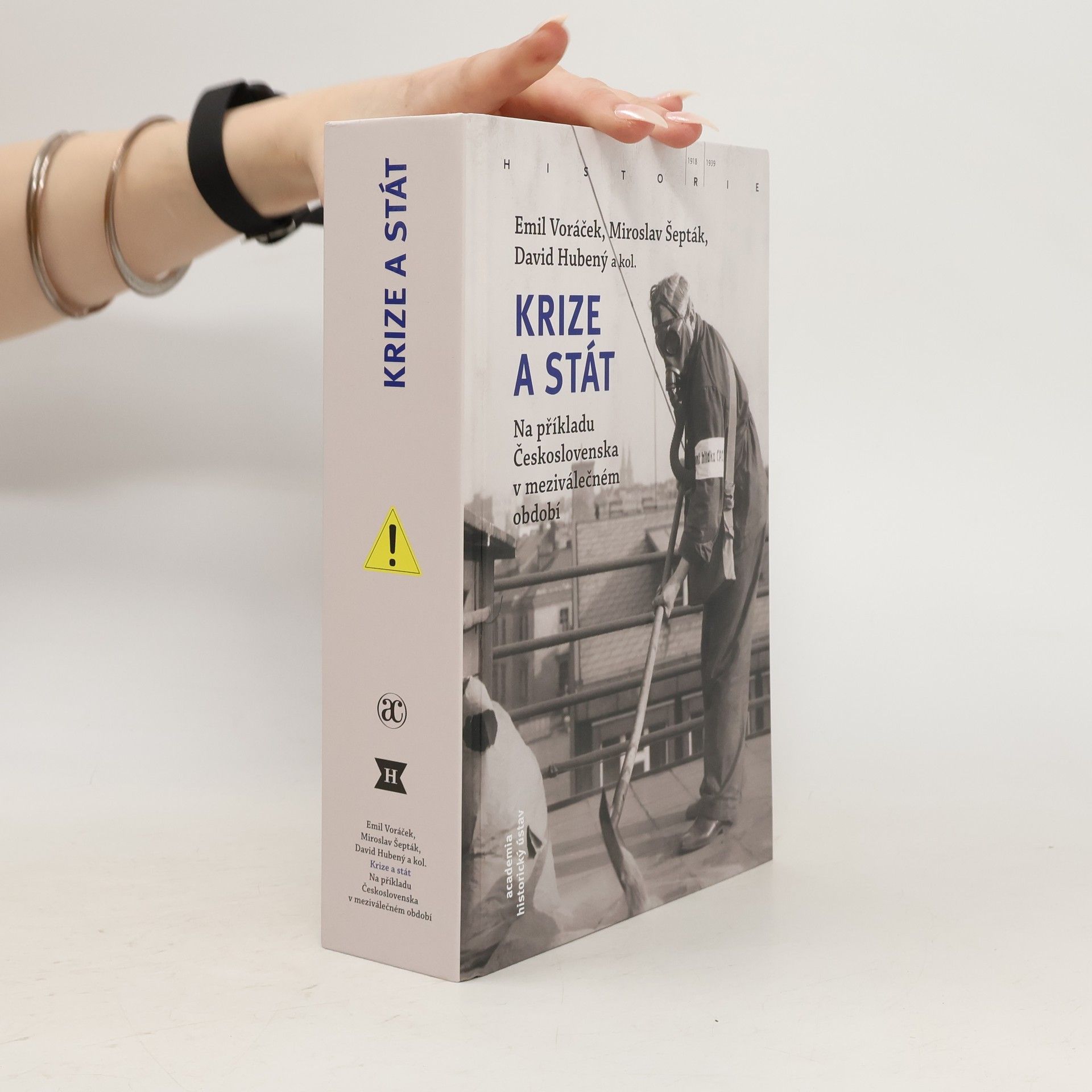 Emil Voráček Krize a stát : na příkladu Československa v meziválečném období