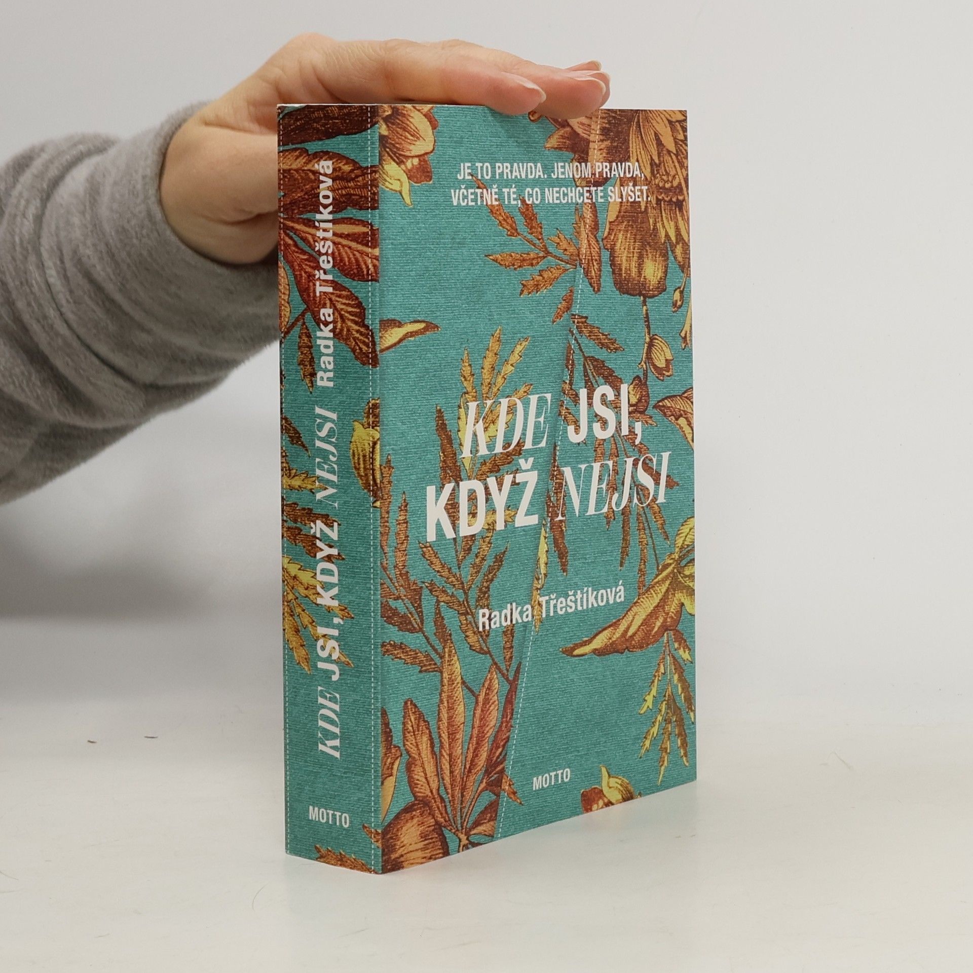 Radka Třeštíková Kde jsi, když nejsi