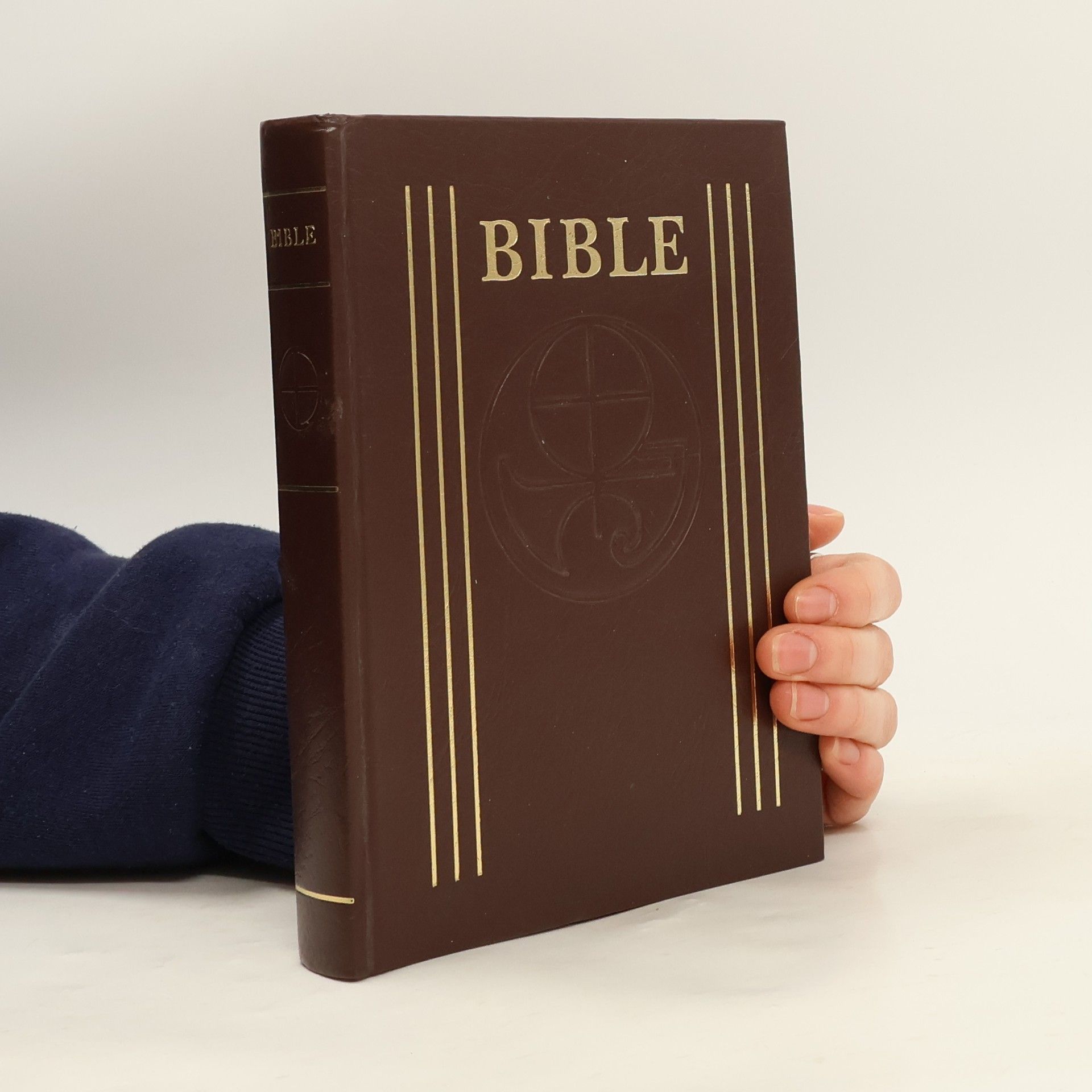 Various authors Bible