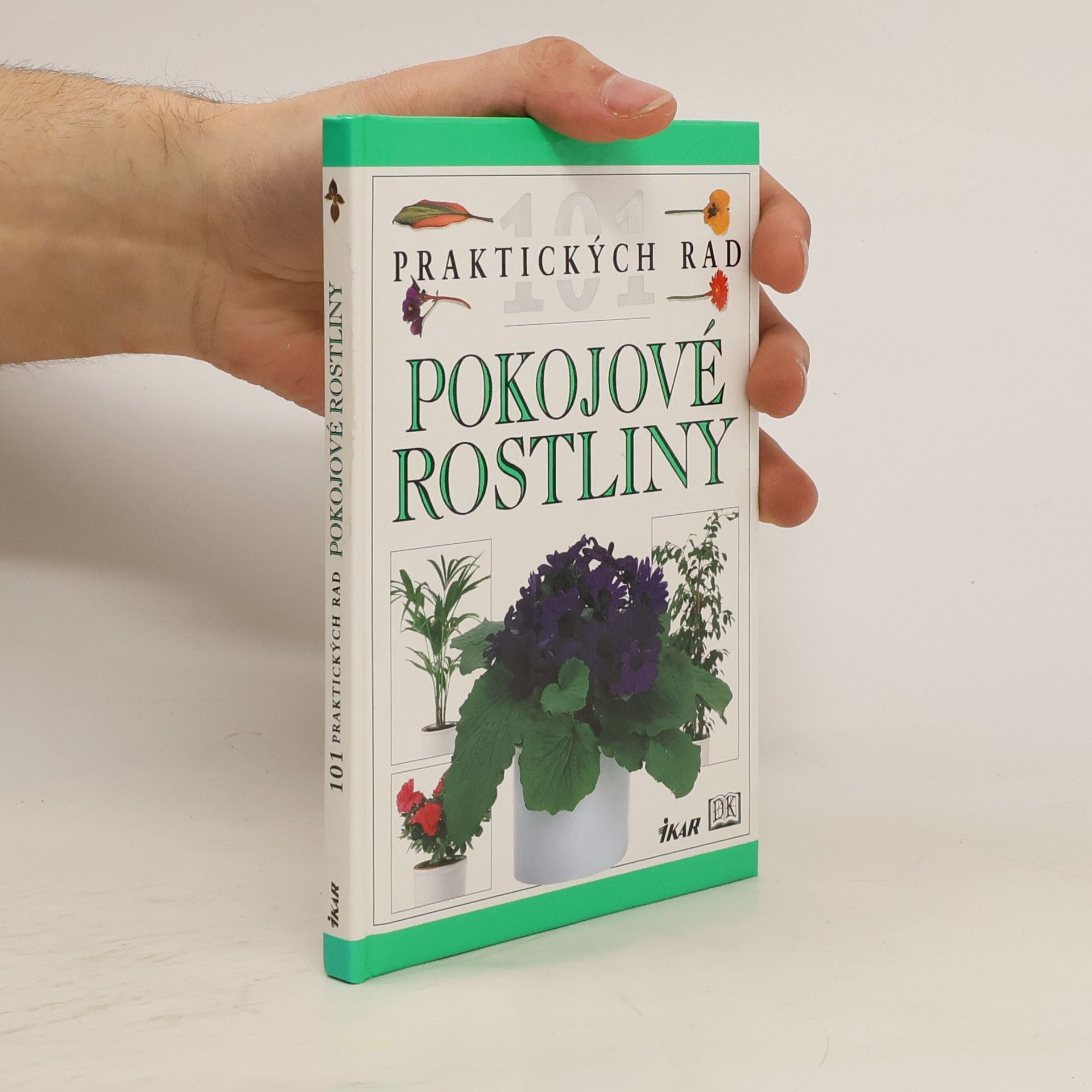 Pokojové rostliny