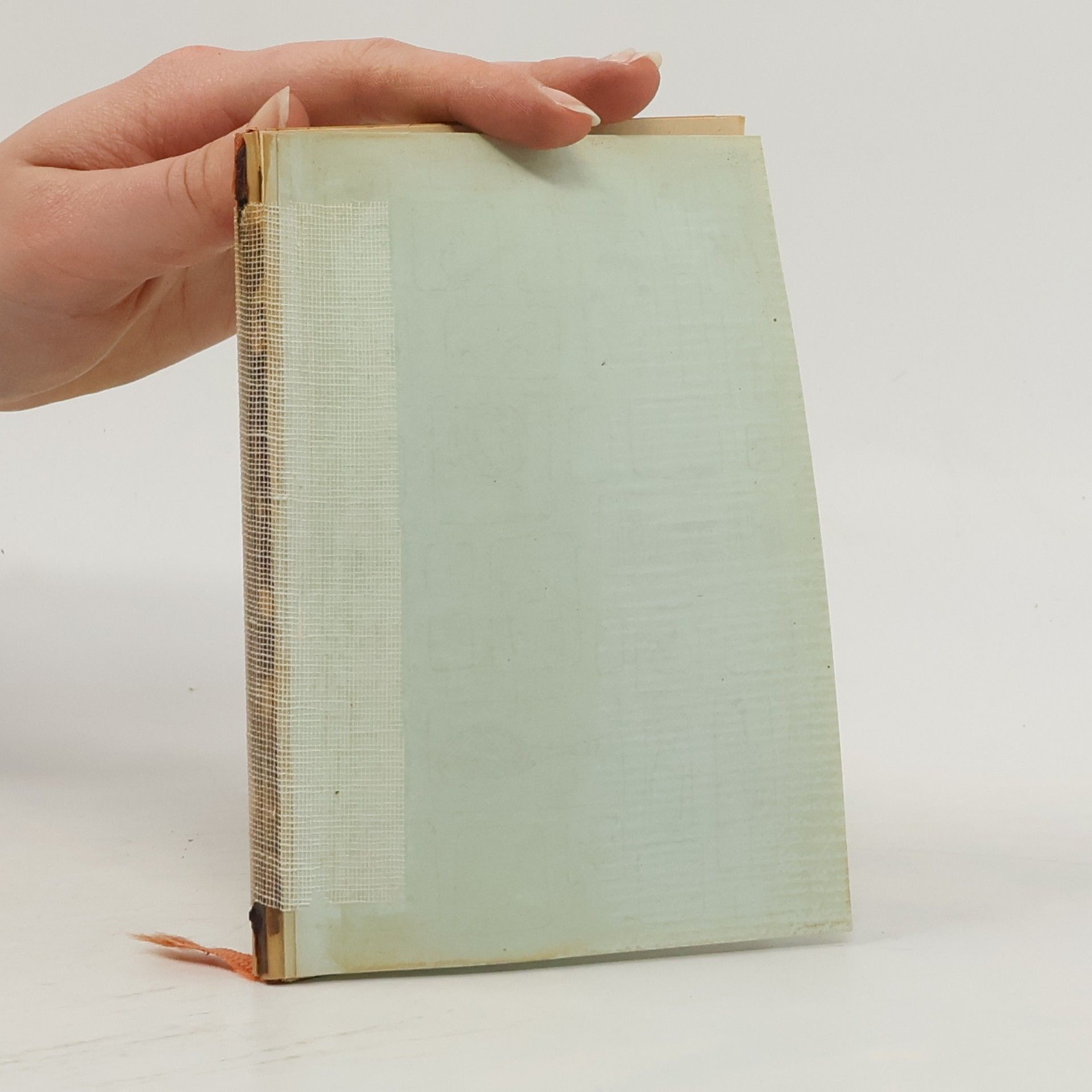 Rosemarie Schittenhelm  heute - morgen - übermorgen