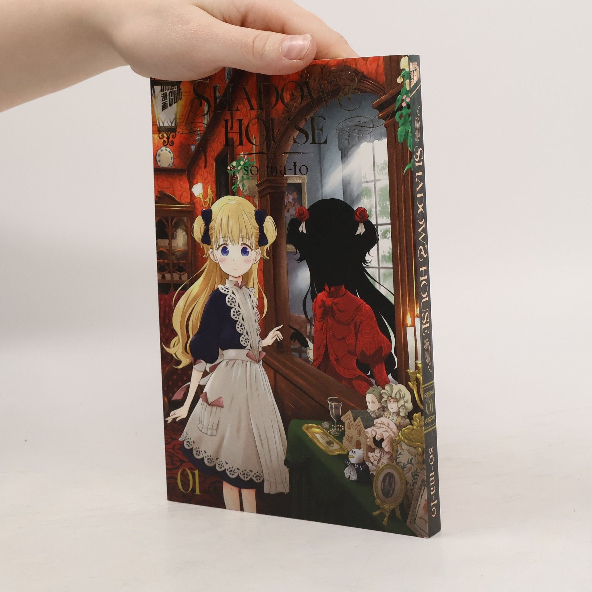 Somato Shadows House 1