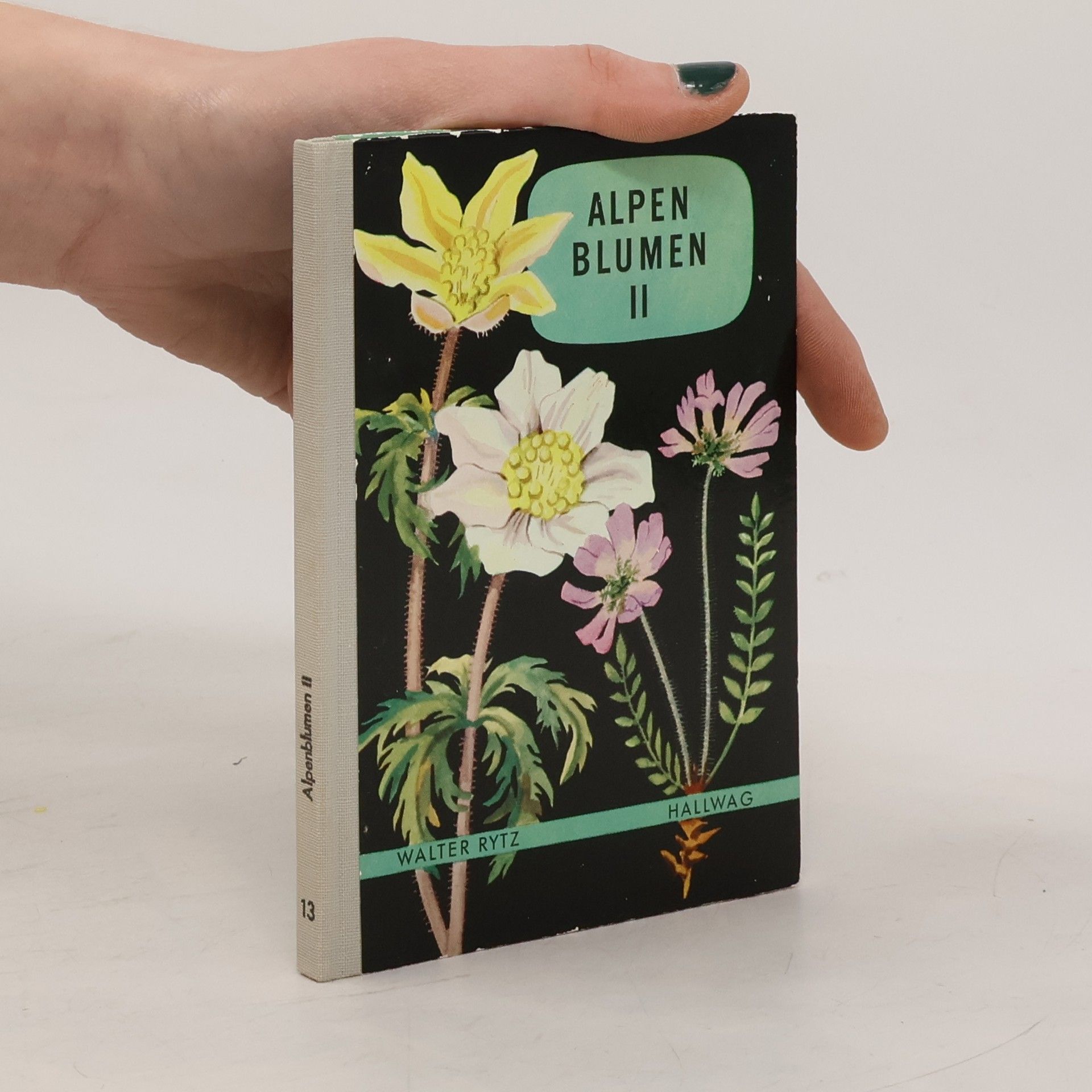 Walther Rytz Alpen Blumen II.