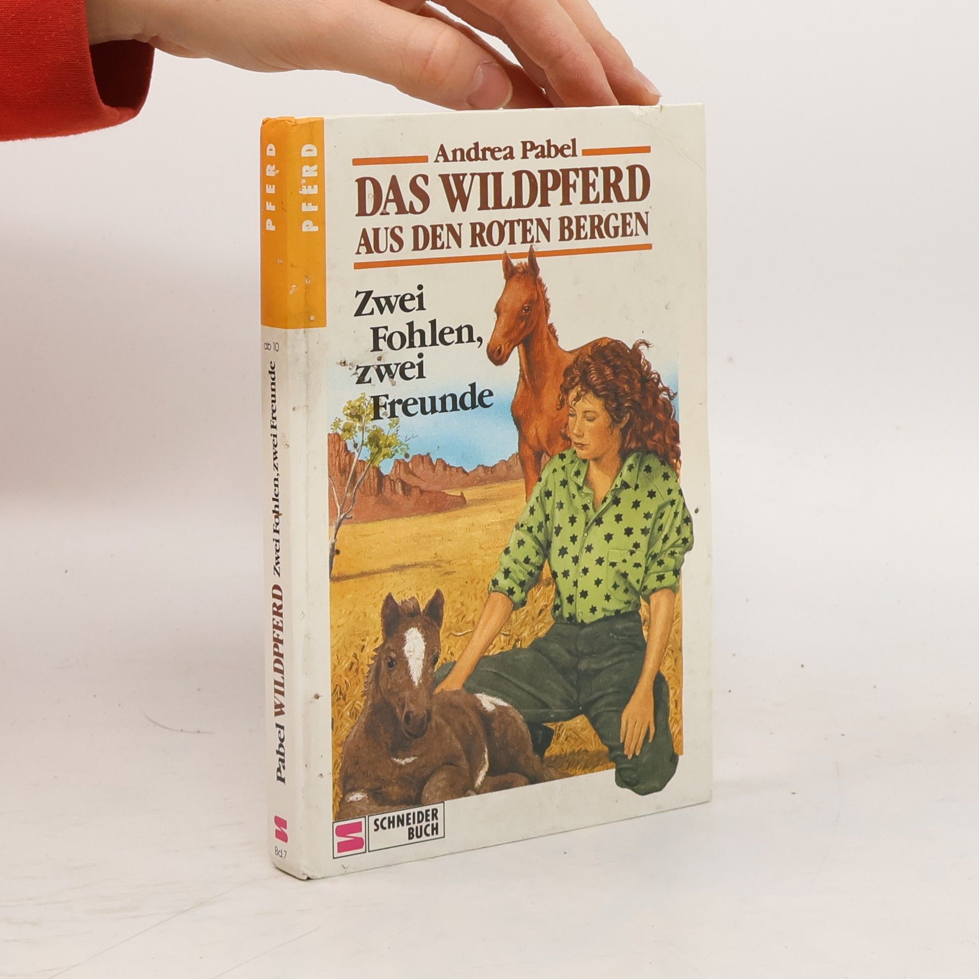 Andrea Pabel Das Wildpferd aus den roten Bergen