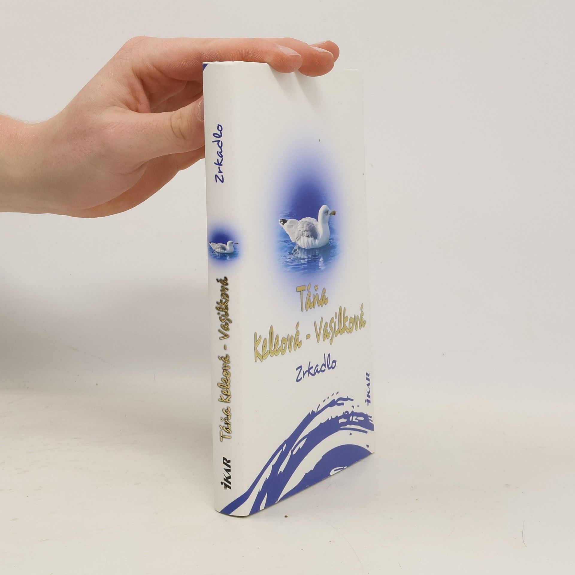 Táňa Keleová Vasilková Zrkadlo