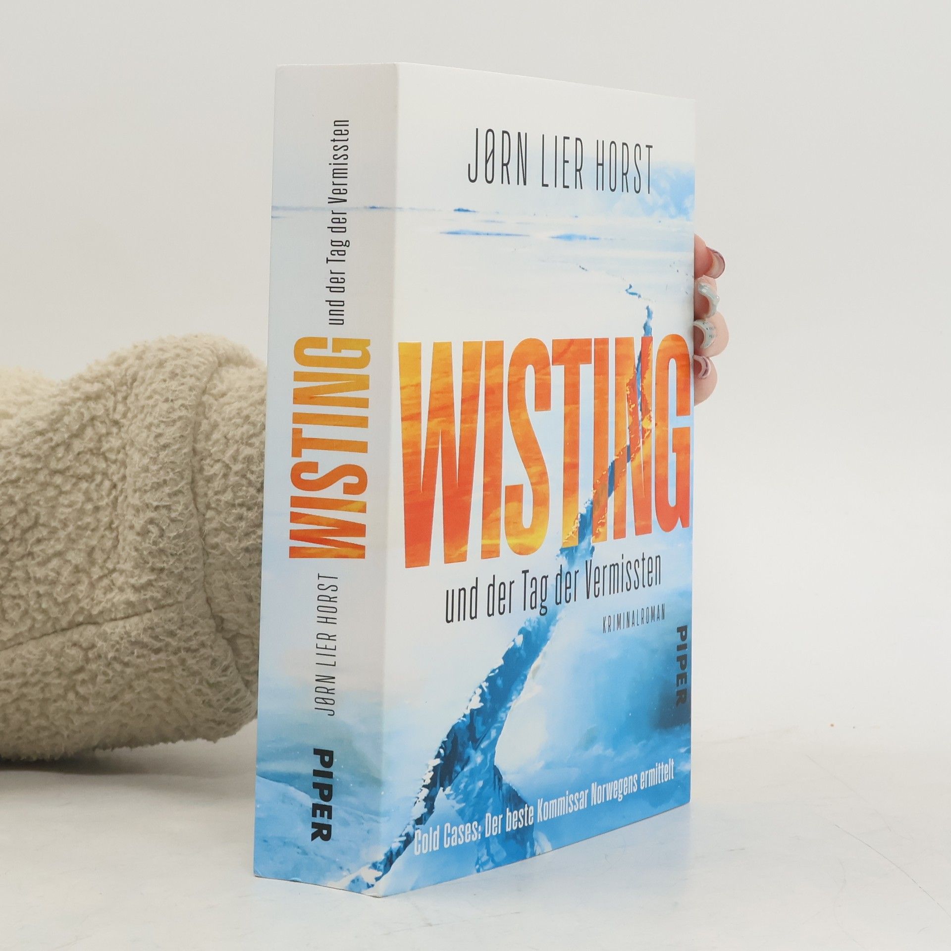 Wisting und der Tag der Vermissten