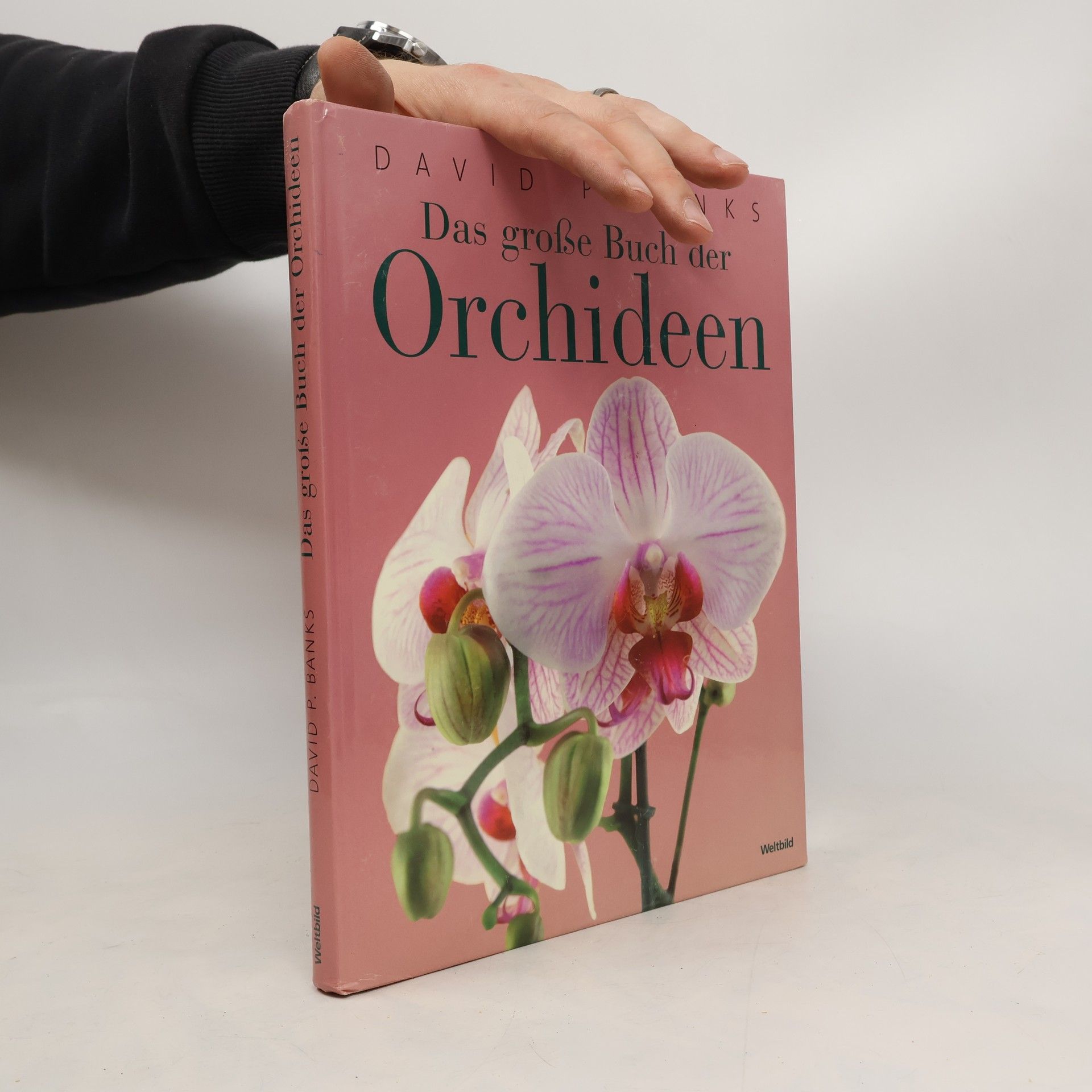 Das große Buch der Orchideen