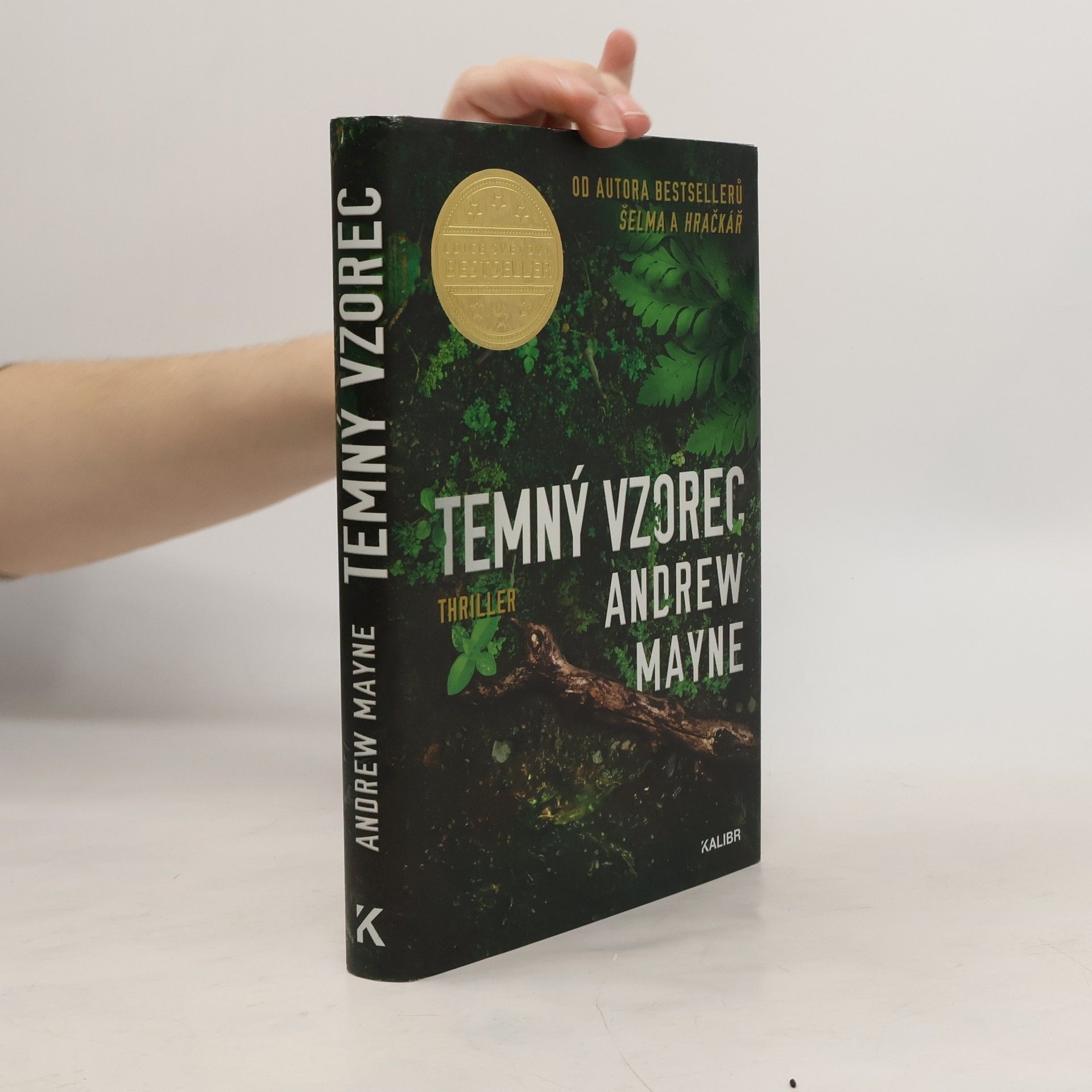 Andrew Mayne Temný vzorec