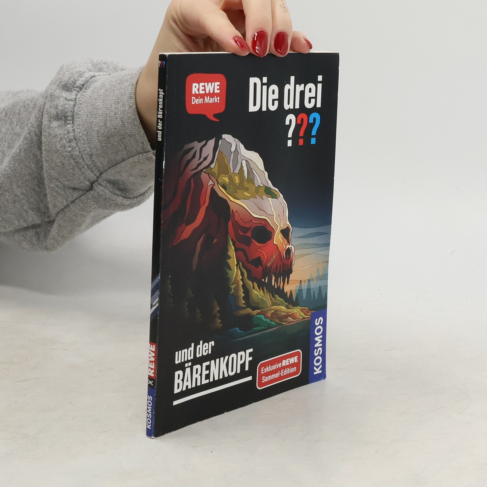 Andreas Ruch Die drei ??? und der Bärenkopf