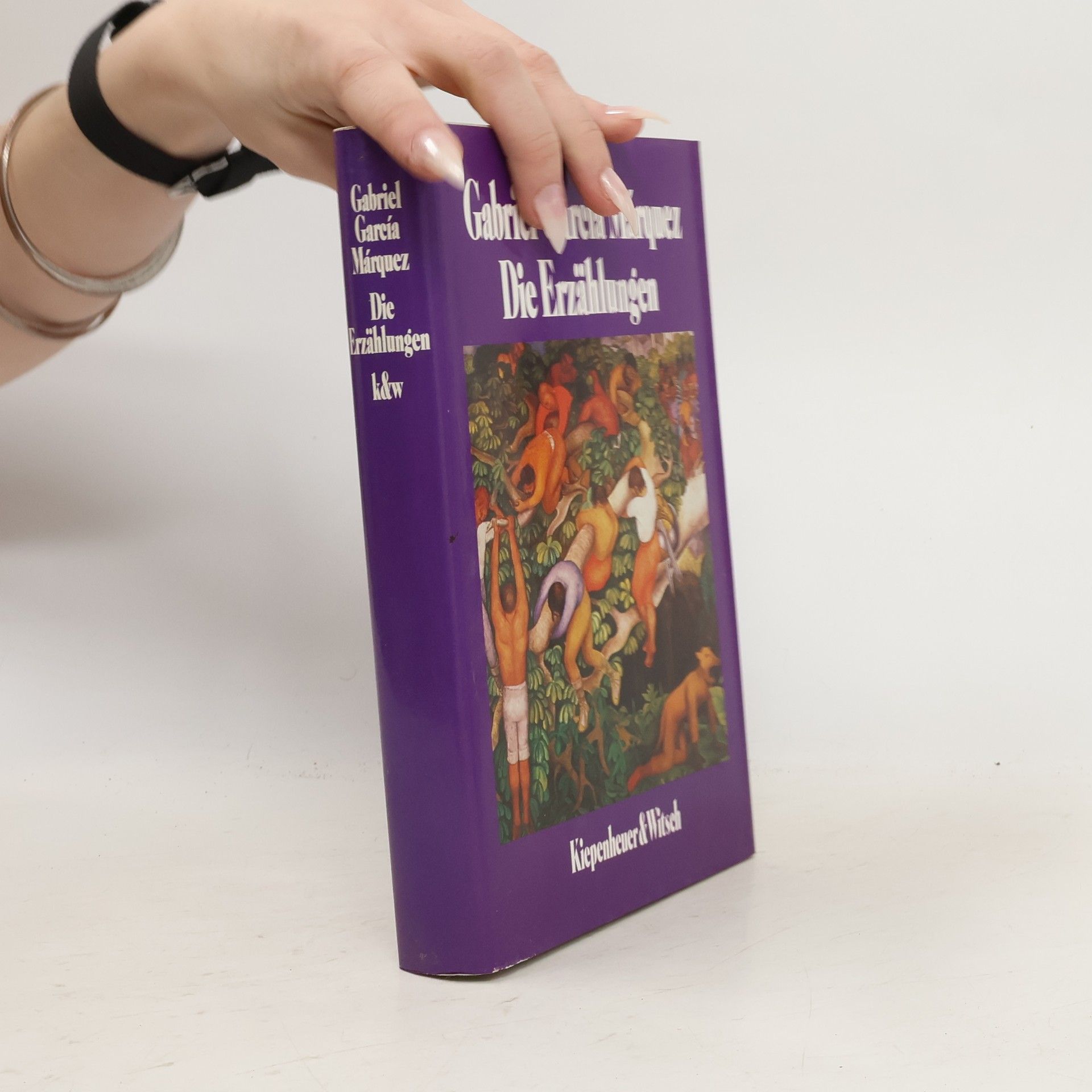 Gabriel García Márquez Die Erzählungen
